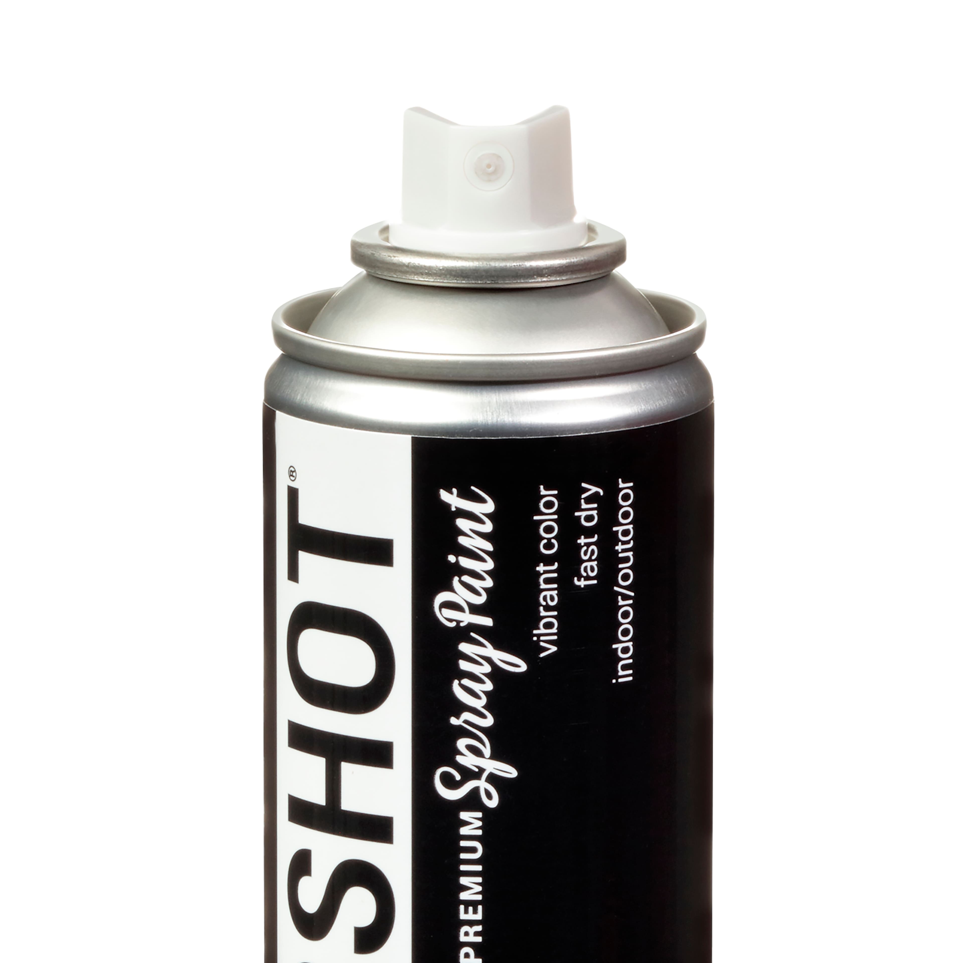 COLORSHOT® Premium Gloss Spray Paint
