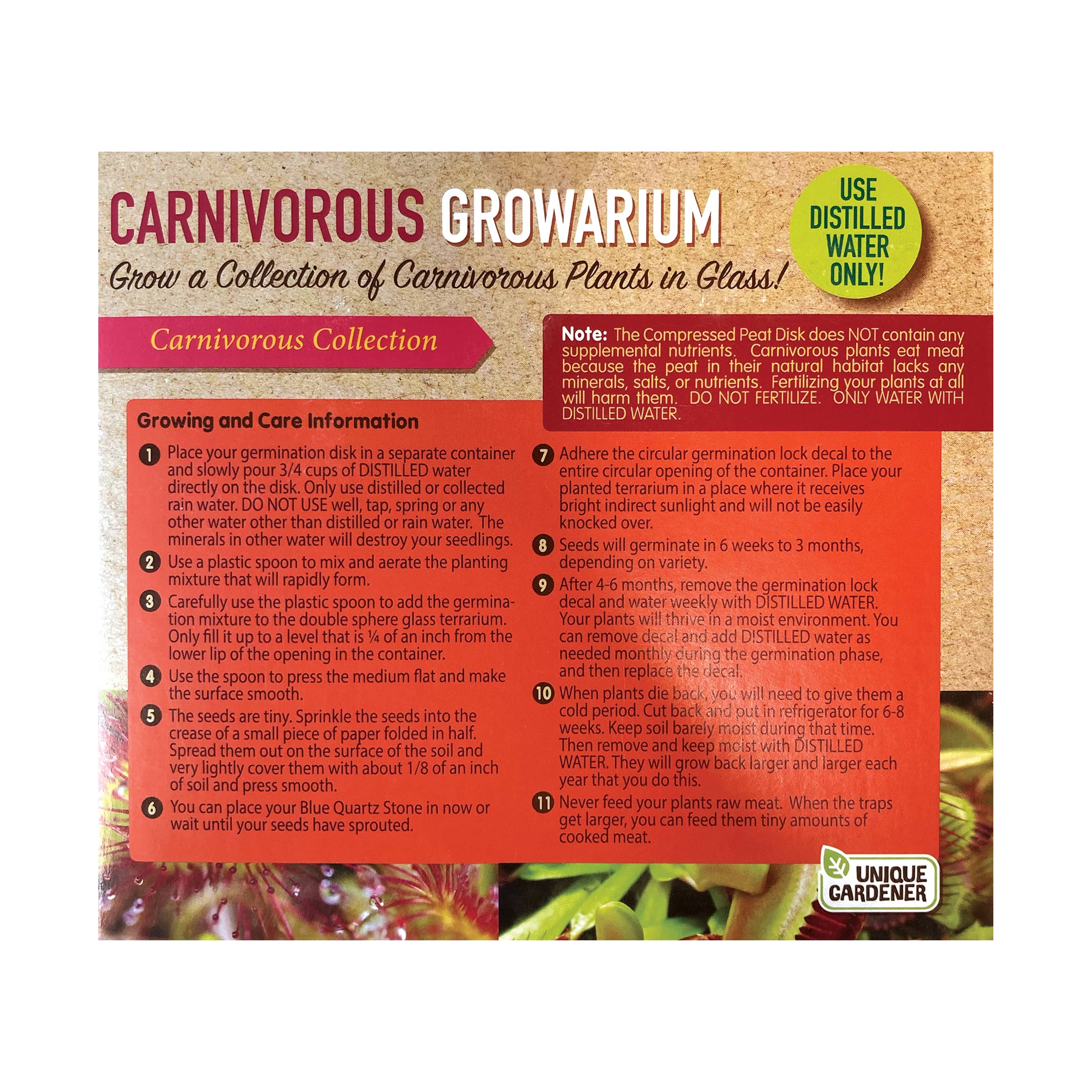 Double Sphere Glass Terrarium - Carnivorous Growarium