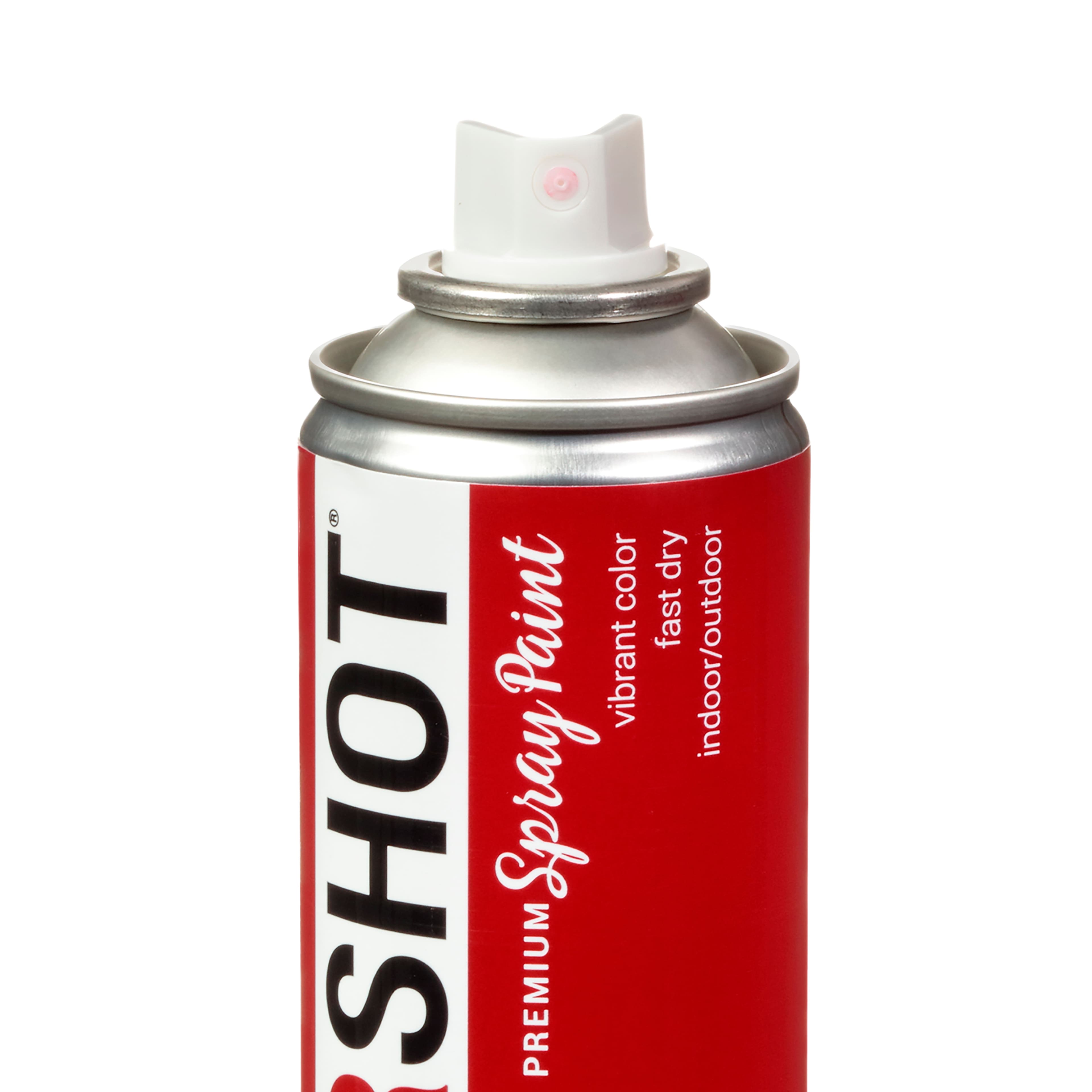 COLORSHOT® Premium Gloss Spray Paint Spray Paint Michaels