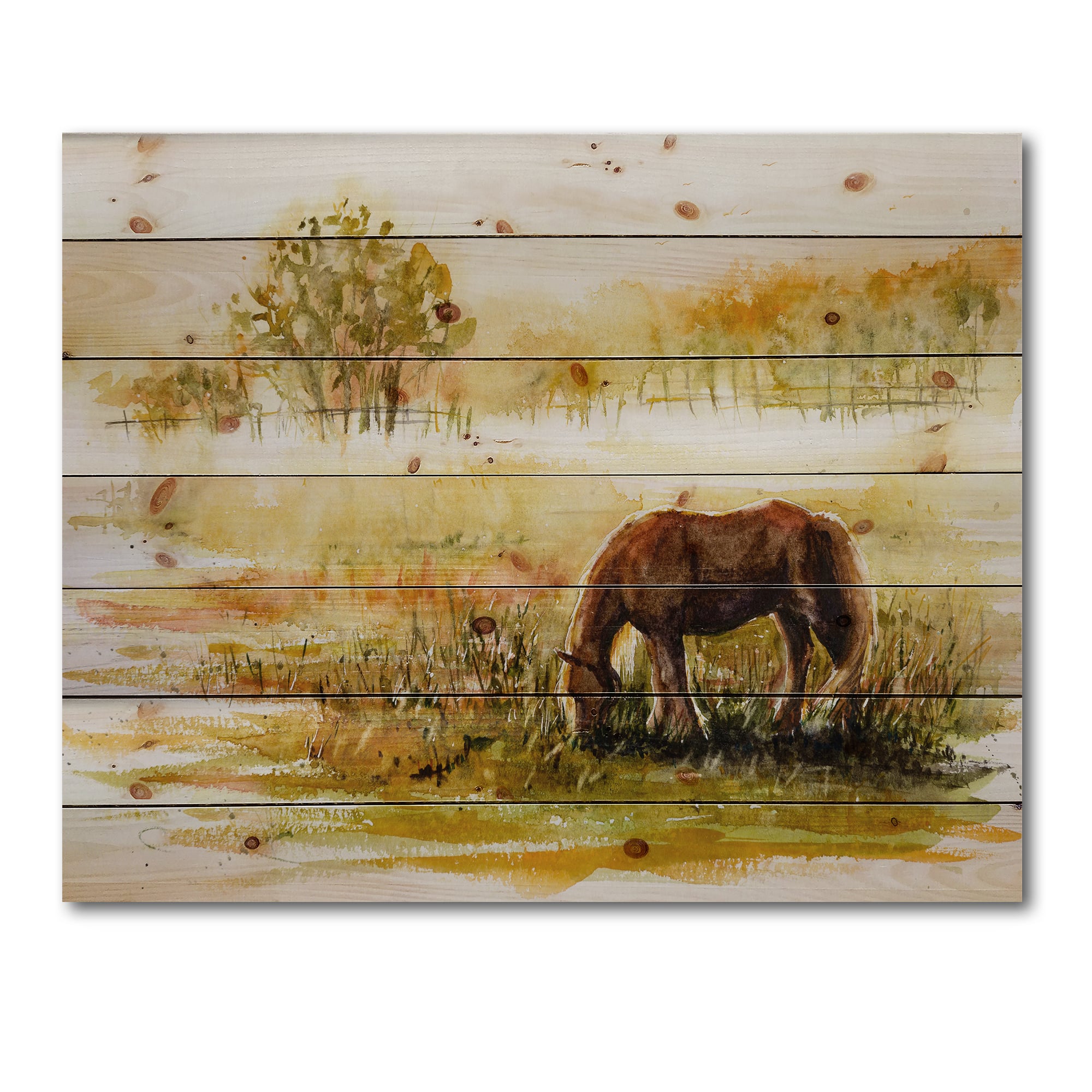 Designart - Horse Grazing On A Meadow - Farmhouse Print on Natural Pine Wood