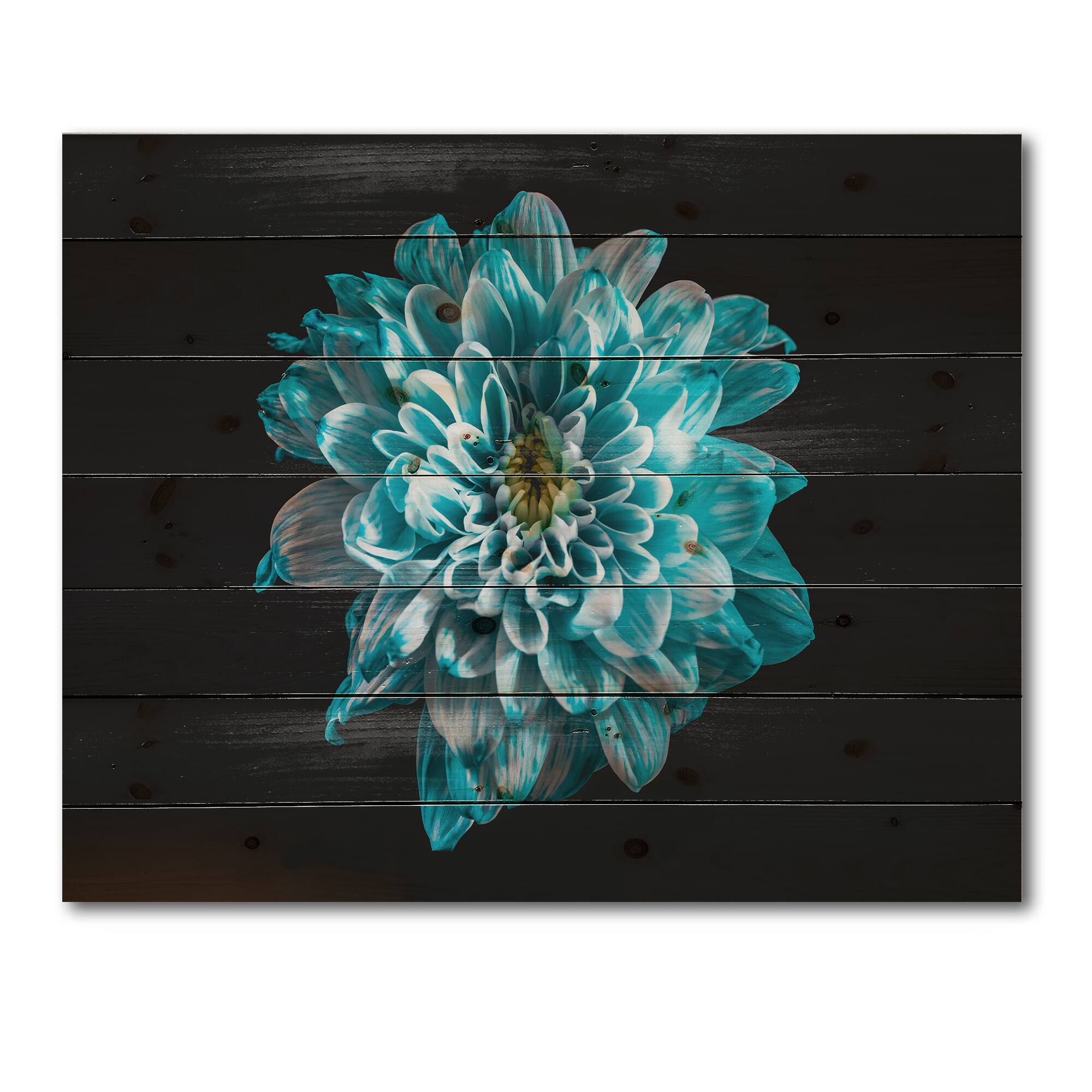 Designart - Close Up Of Flower With Blue and White Petals - Traditional Print on Natural Pine Wood