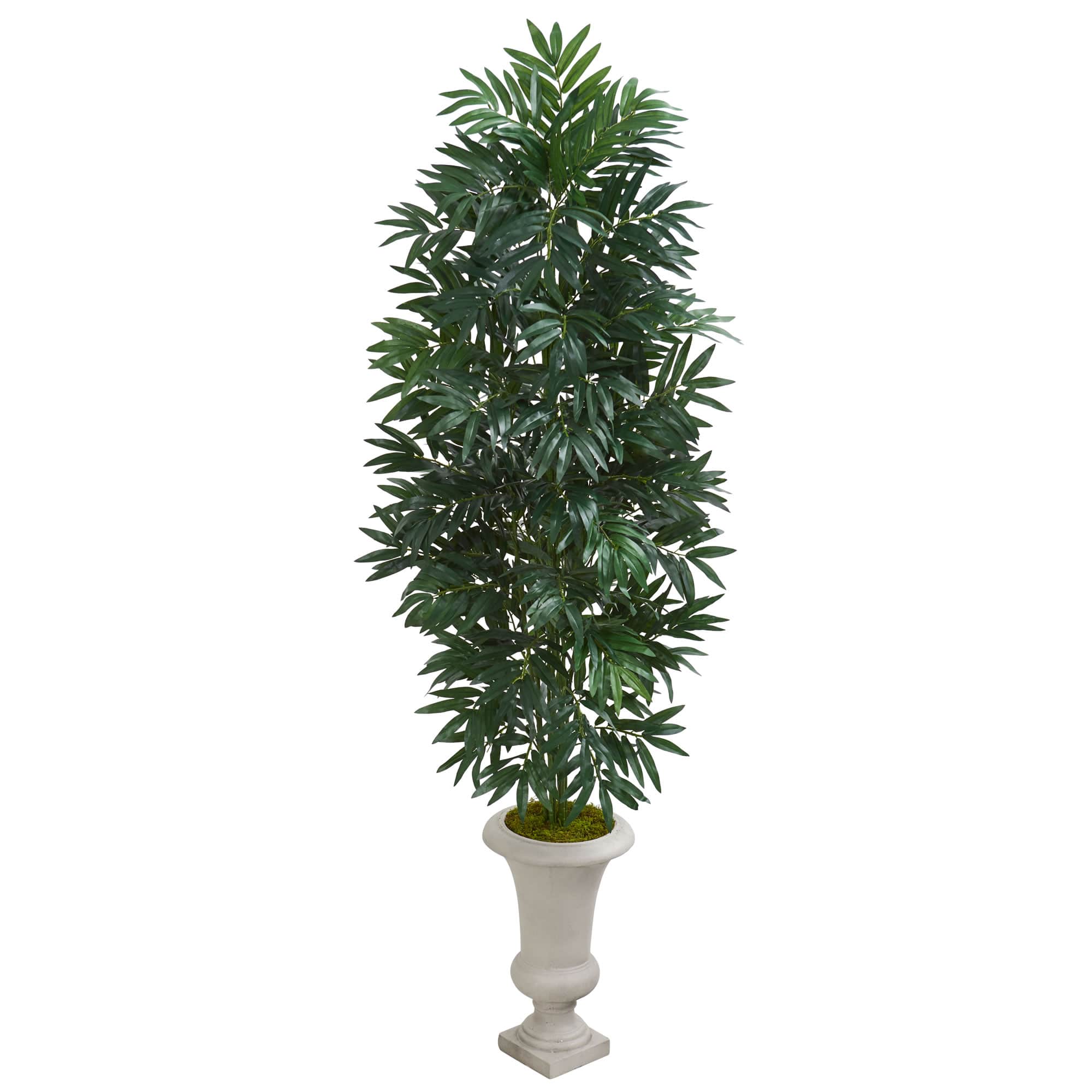 5.5ft. Bamboo Palm Plant in Urn