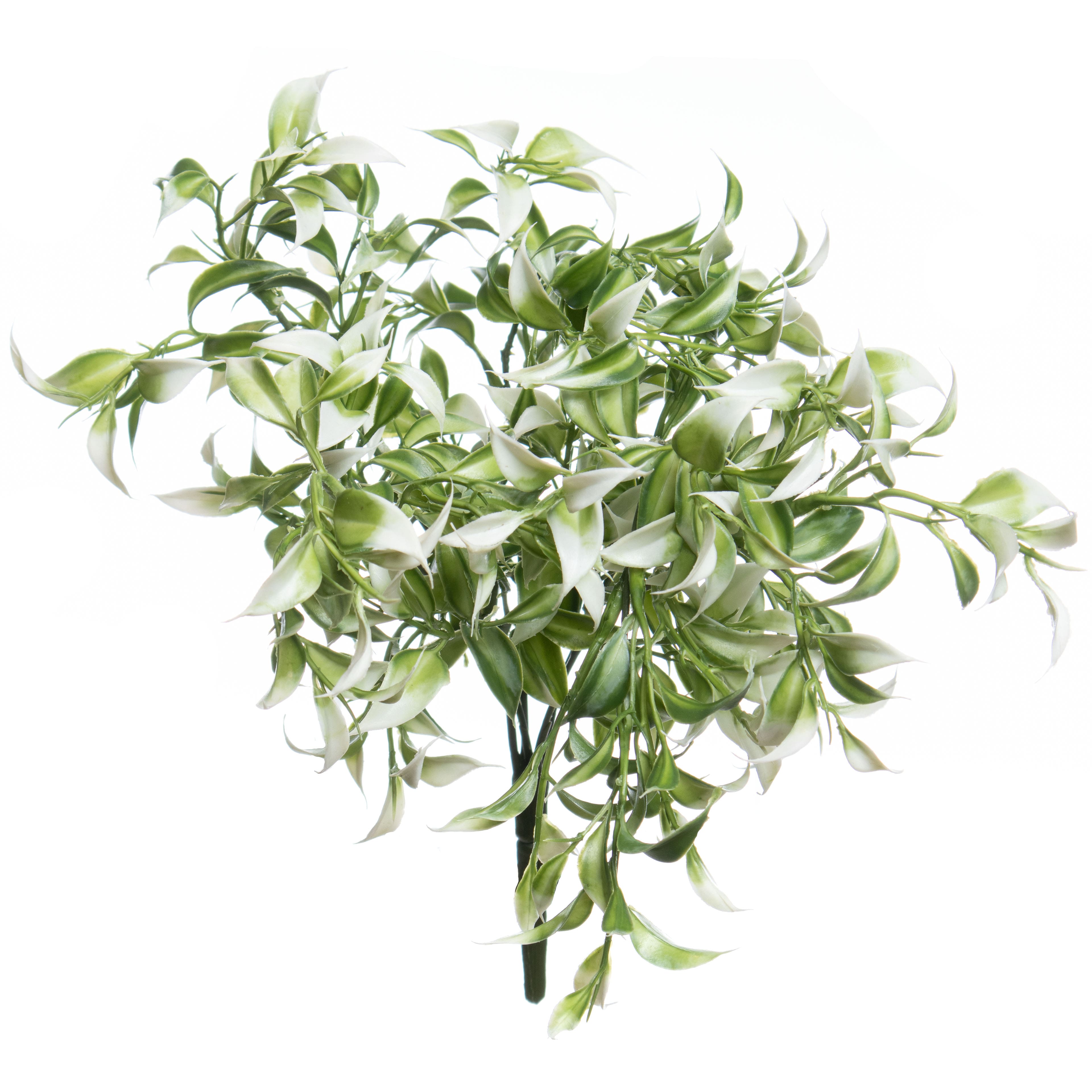 13&#x22; White Ruscus Bush by Ashland&#xAE;