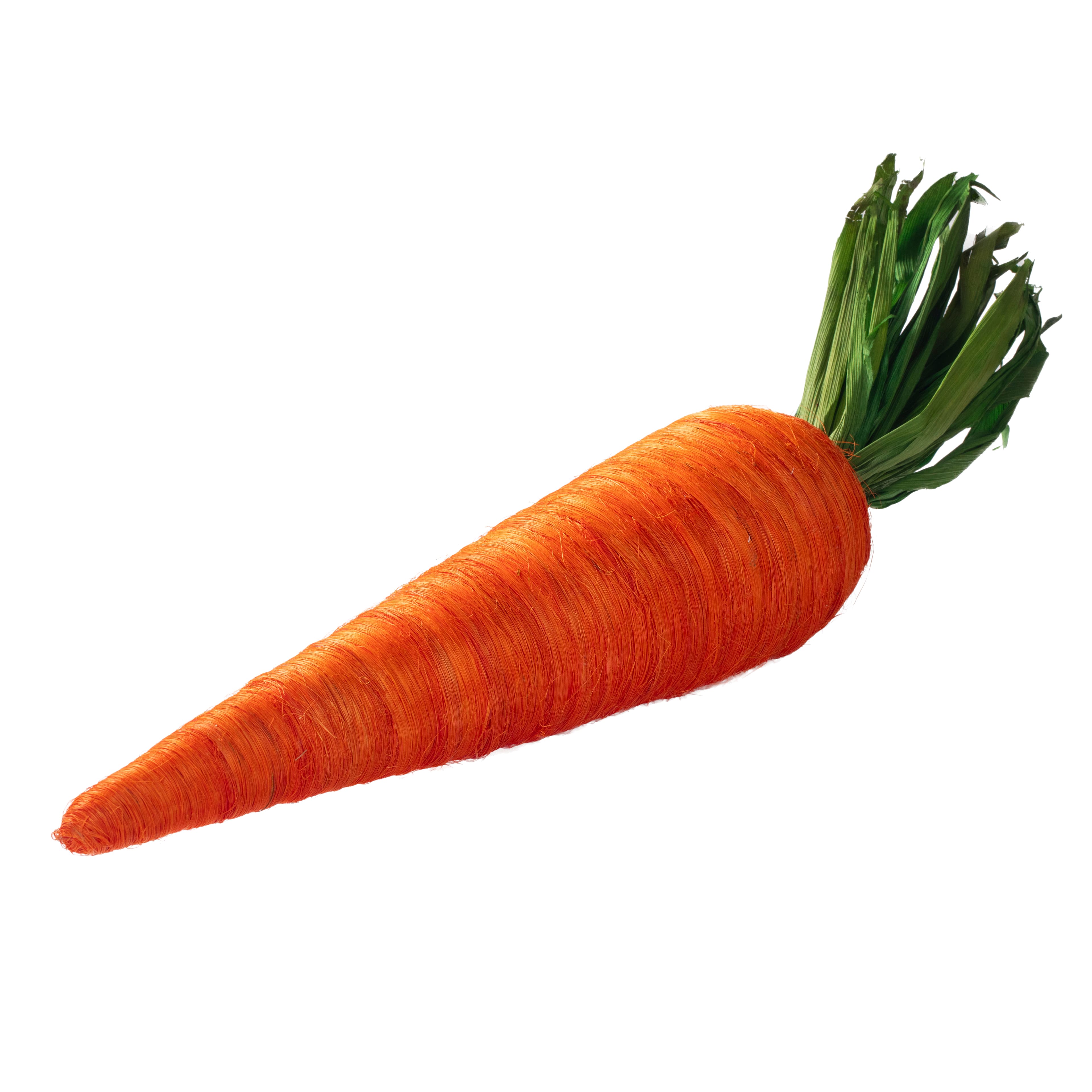 Extra-Large Orange Carrot by Ashland&#xAE;