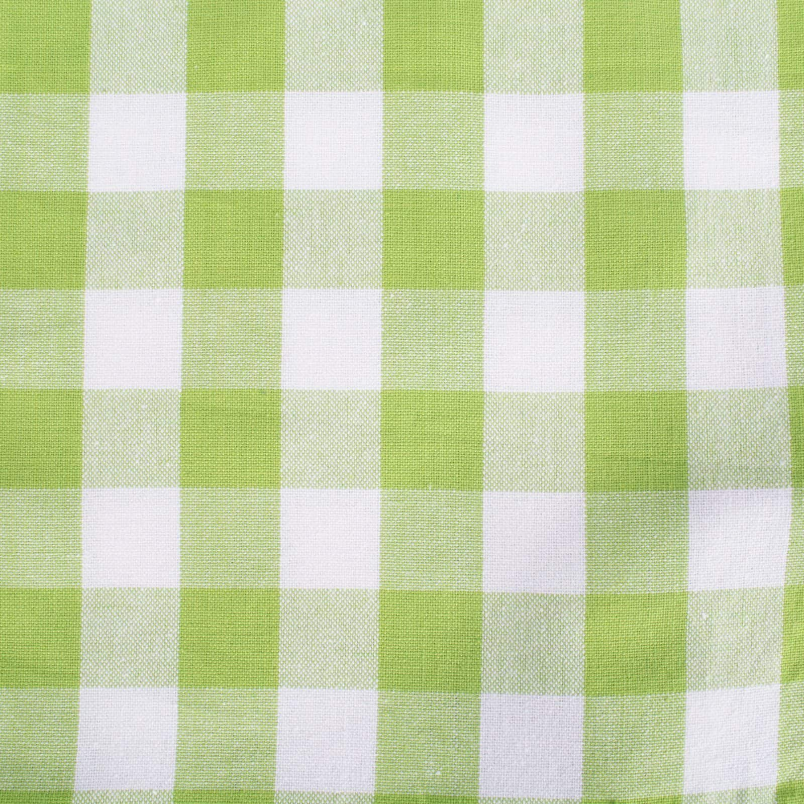 DII&#xAE; Green Apple &#x26; White Check Cloth Dinner Napkins, 6ct.