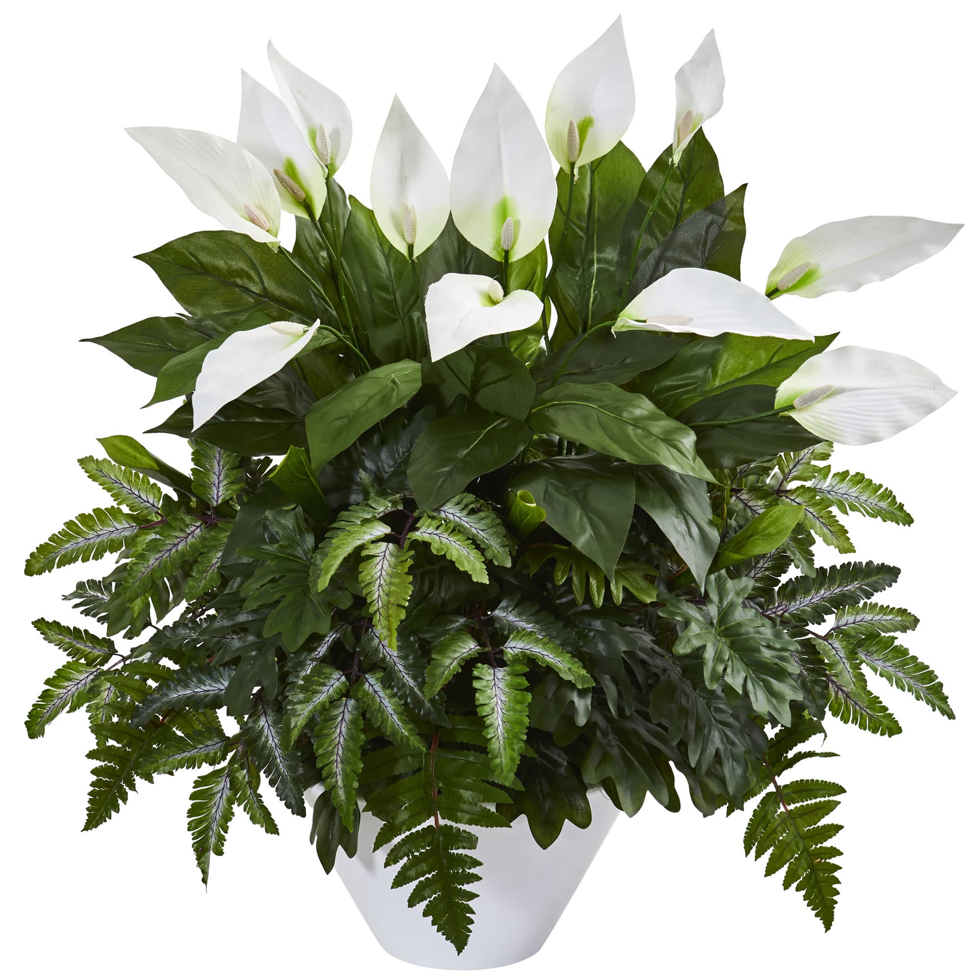 2.5ft. Mixed Peace Lily Plant in White Vase