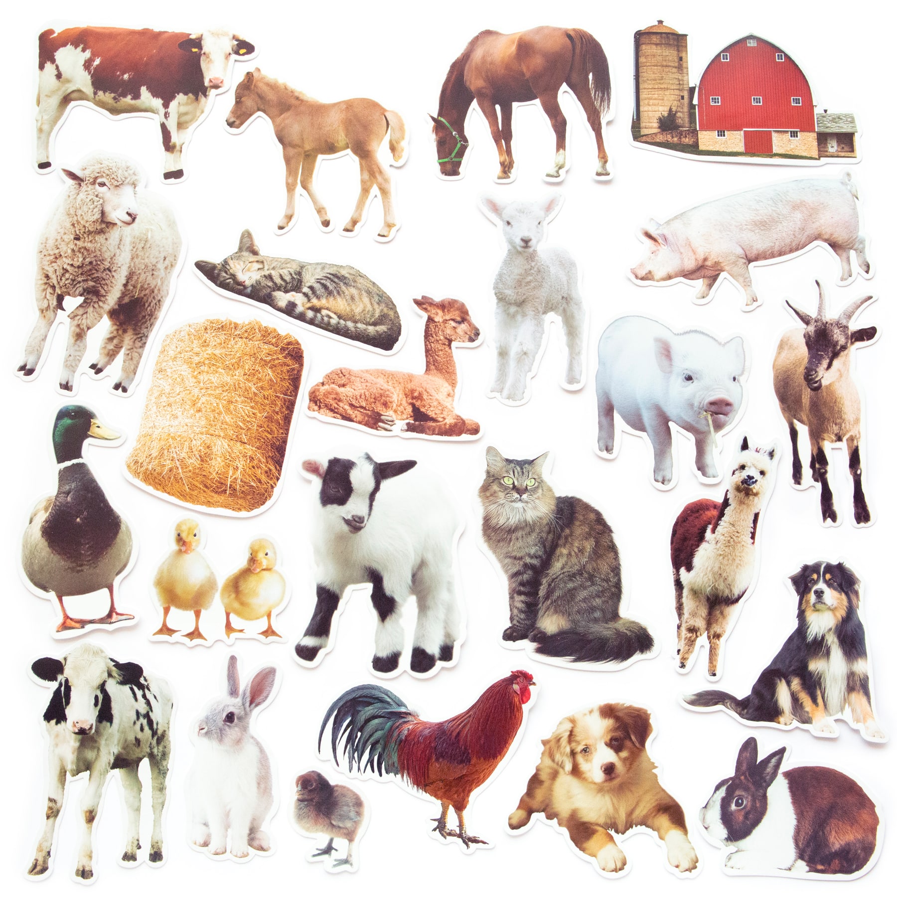 Barnyard Animals Die Cut Stickers by Recollections&#x2122;