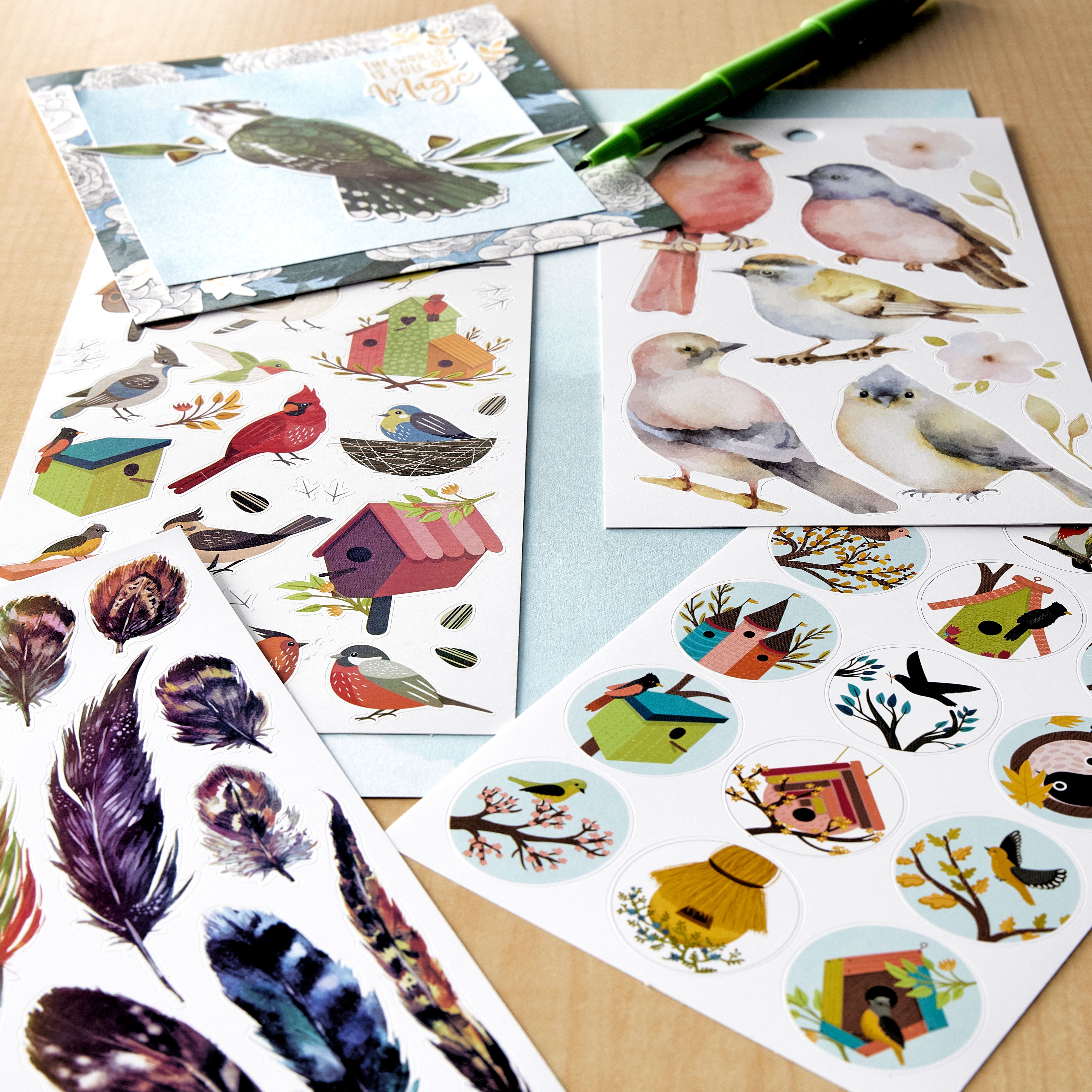 12 Pack: Birds Sticker Book by Recollections&#x2122;