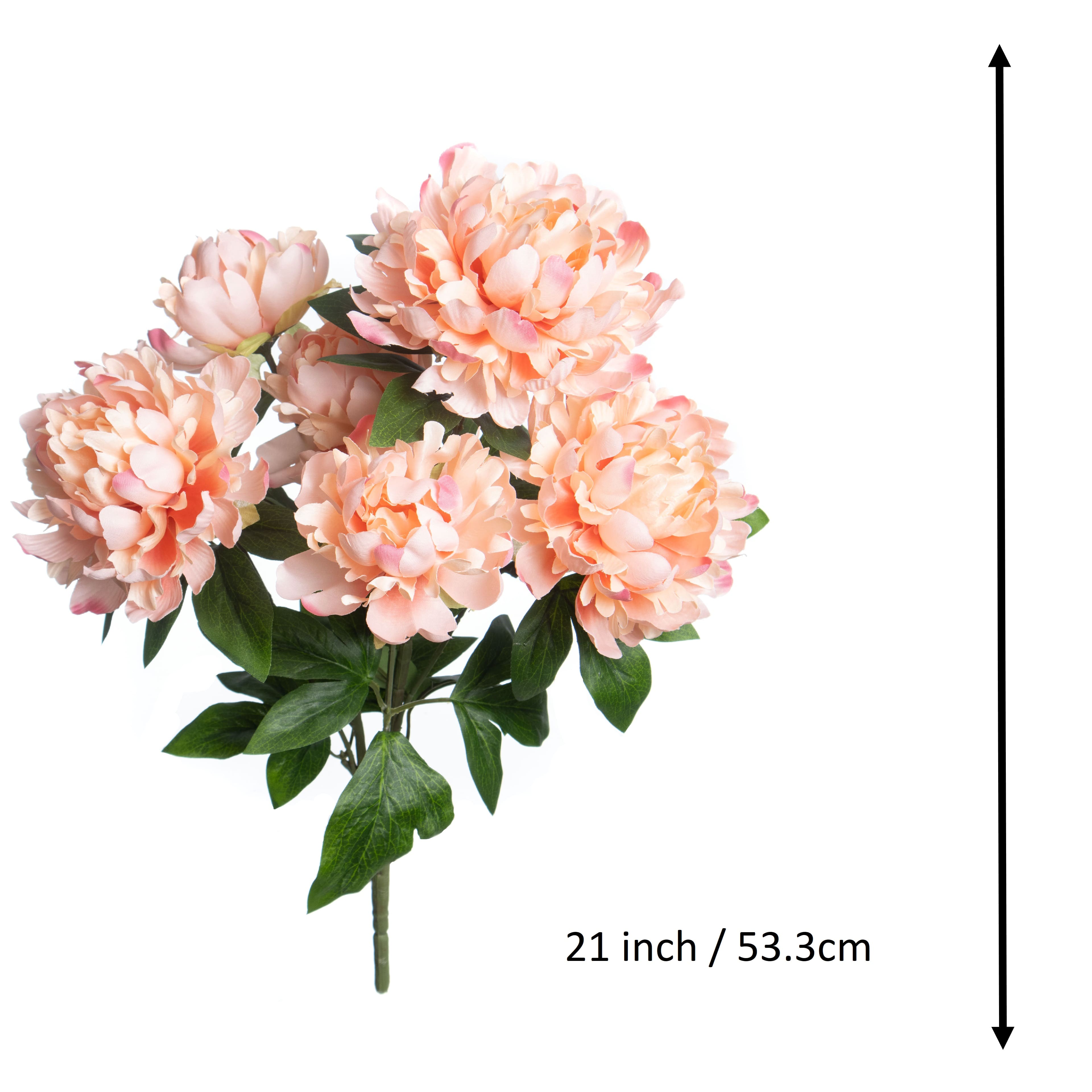 21&#x22; Peach Peony Deluxe Bush by Ashland&#xAE;