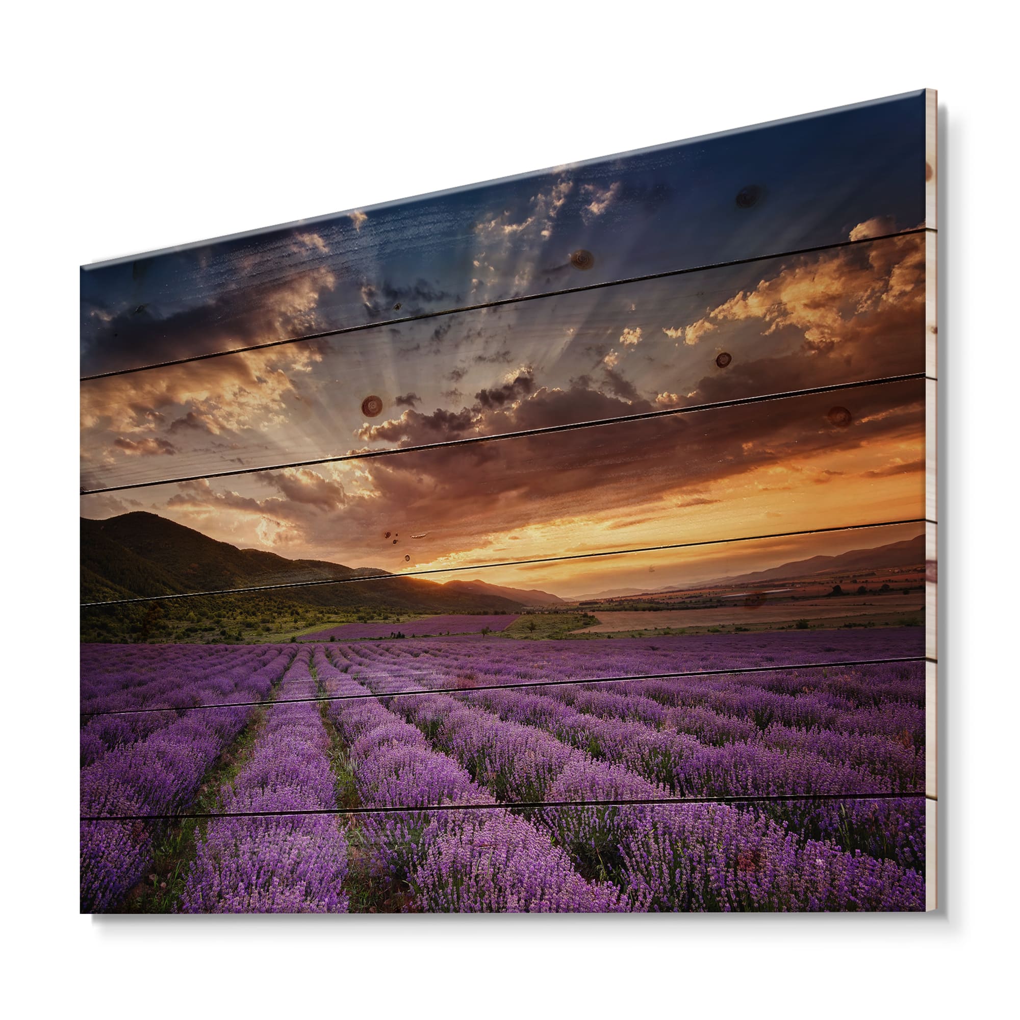 Designart - Sunrise &#x26; Dramatic Clouds Over Lavender Field X - Farmhouse Print on Natural Pine Wood