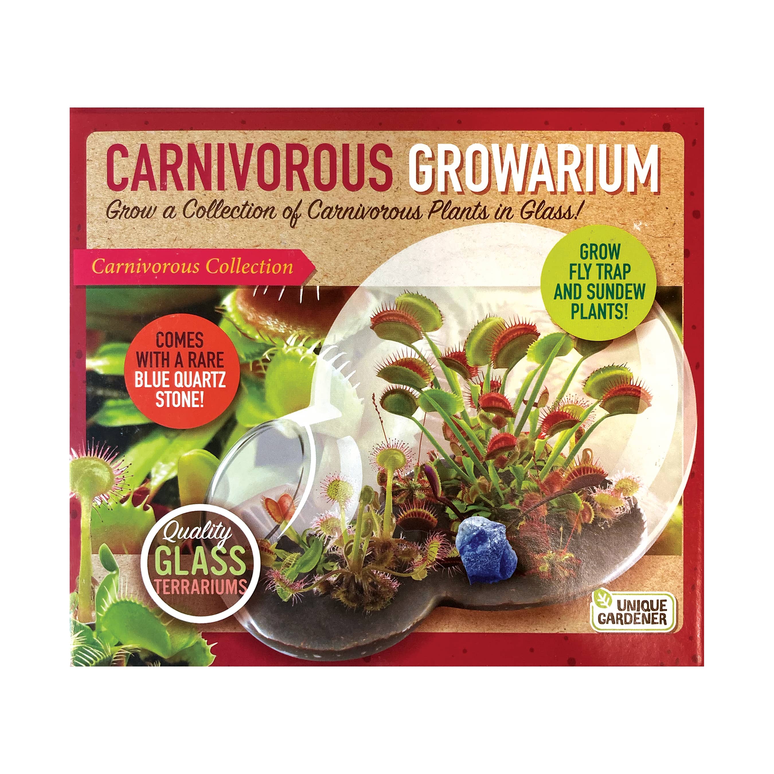 Double Sphere Glass Terrarium - Carnivorous Growarium