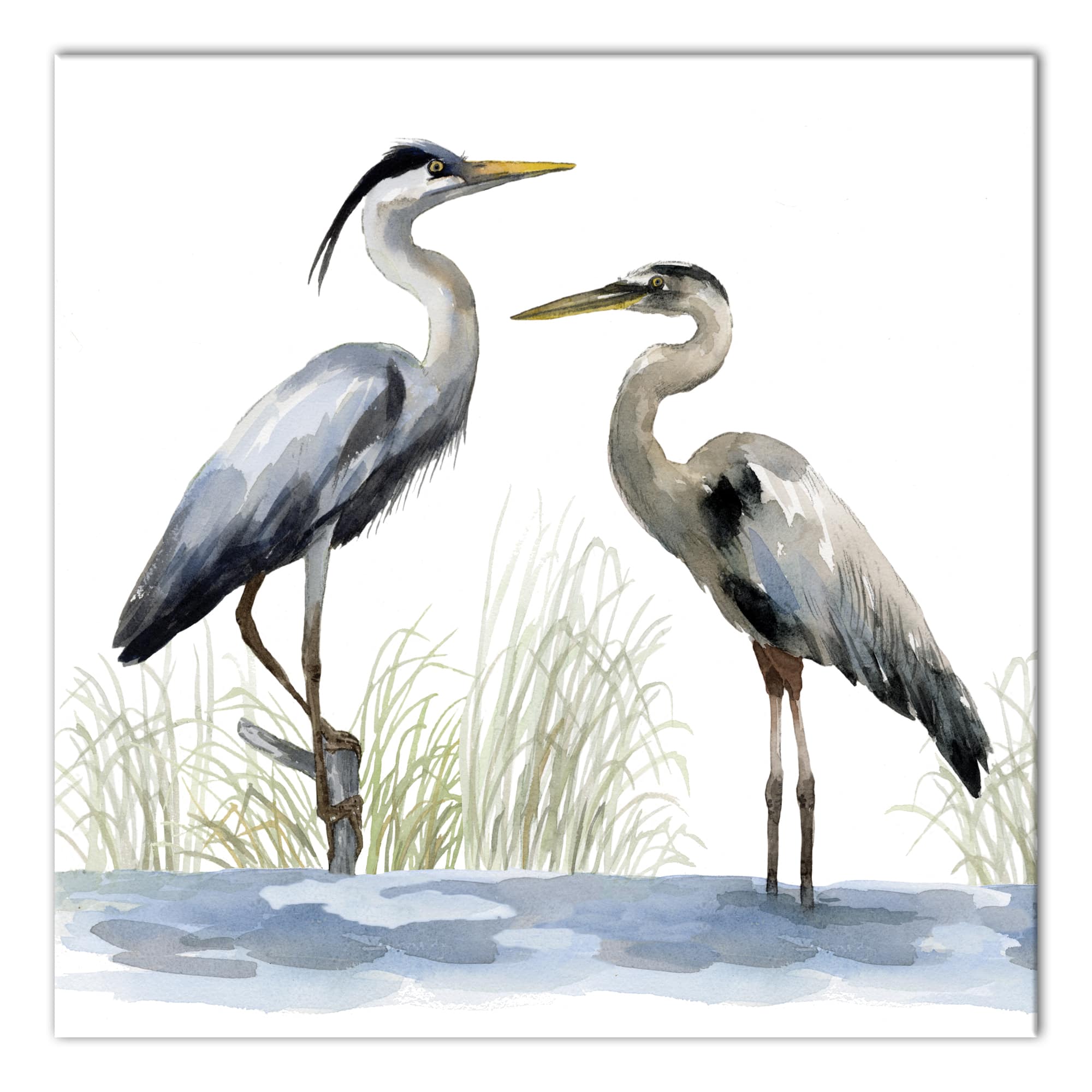 Heron Duo Canvas Wall Art