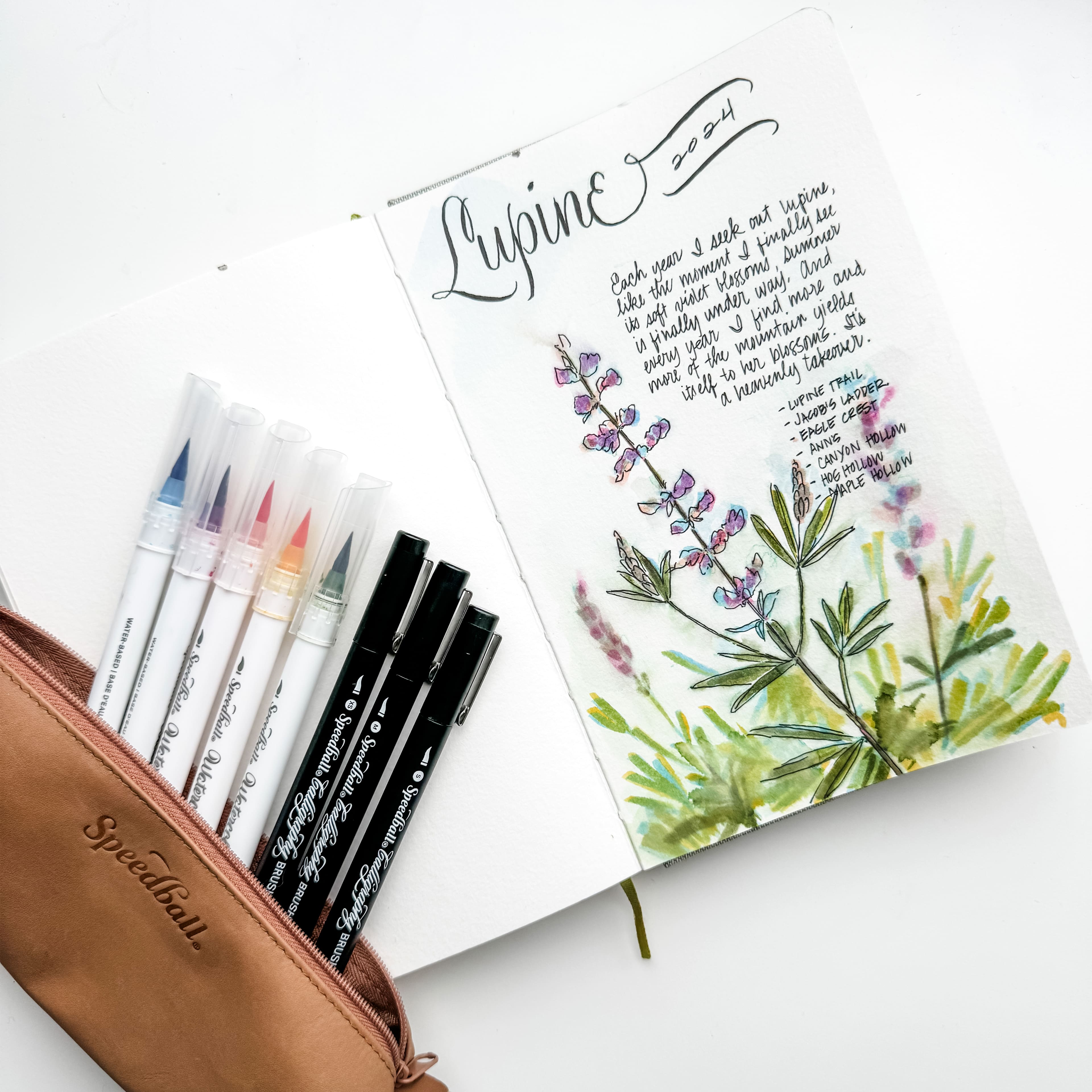 Speedball&#xAE; Hand-Lettering Calligraphy &#x26; Watercolor Brush Marker Set