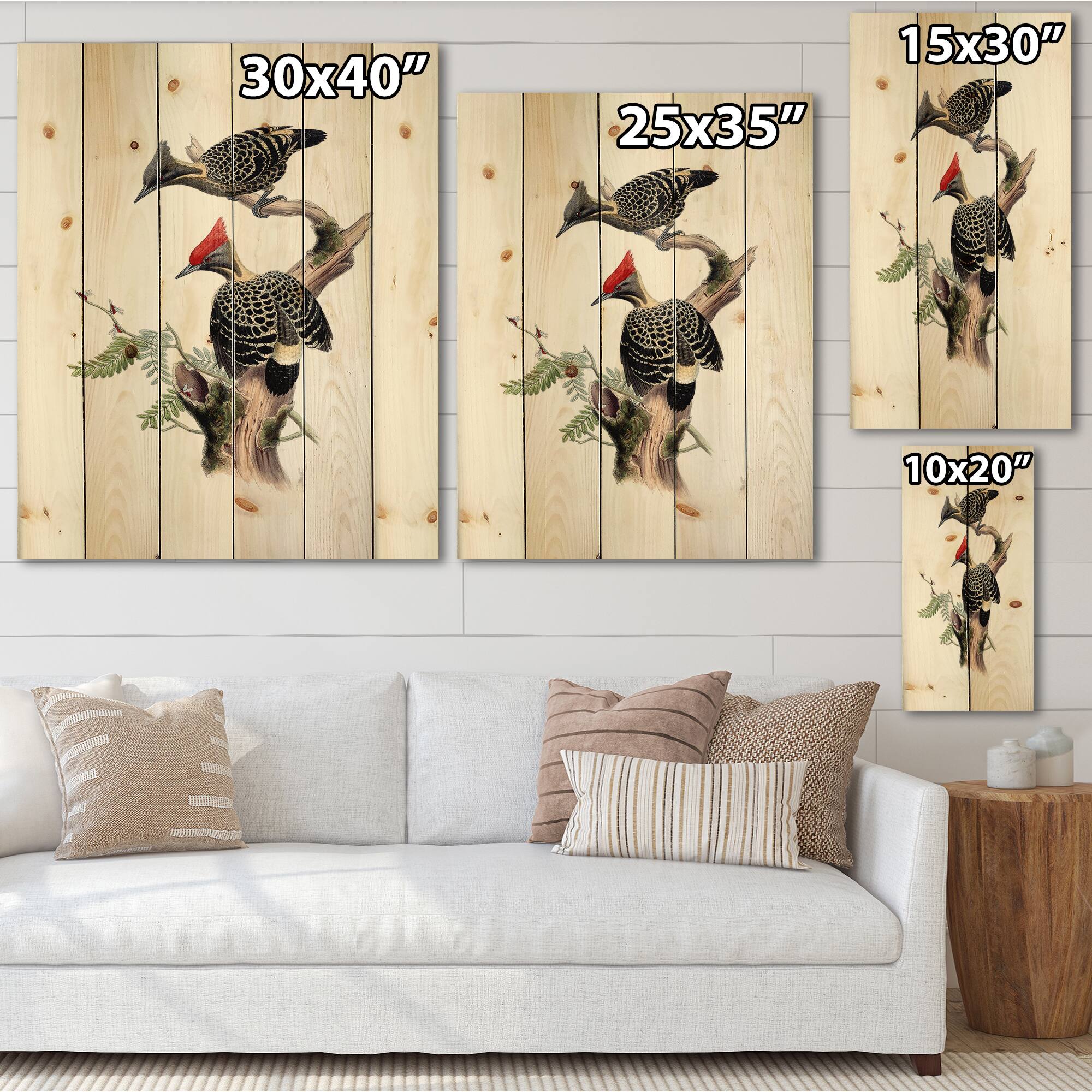 Designart - Vintage Birds In The Wild VI - Traditional Print on Natural Pine Wood
