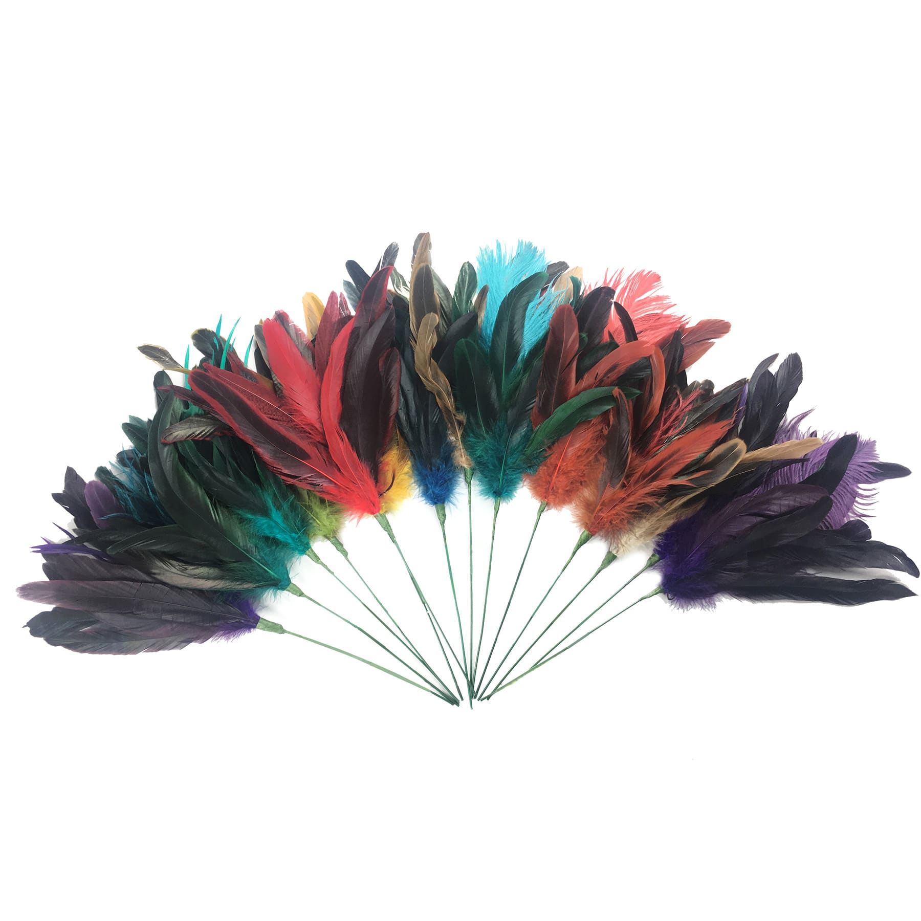 Colourful Feather Picks, 72ct. by Ashland&#xAE;