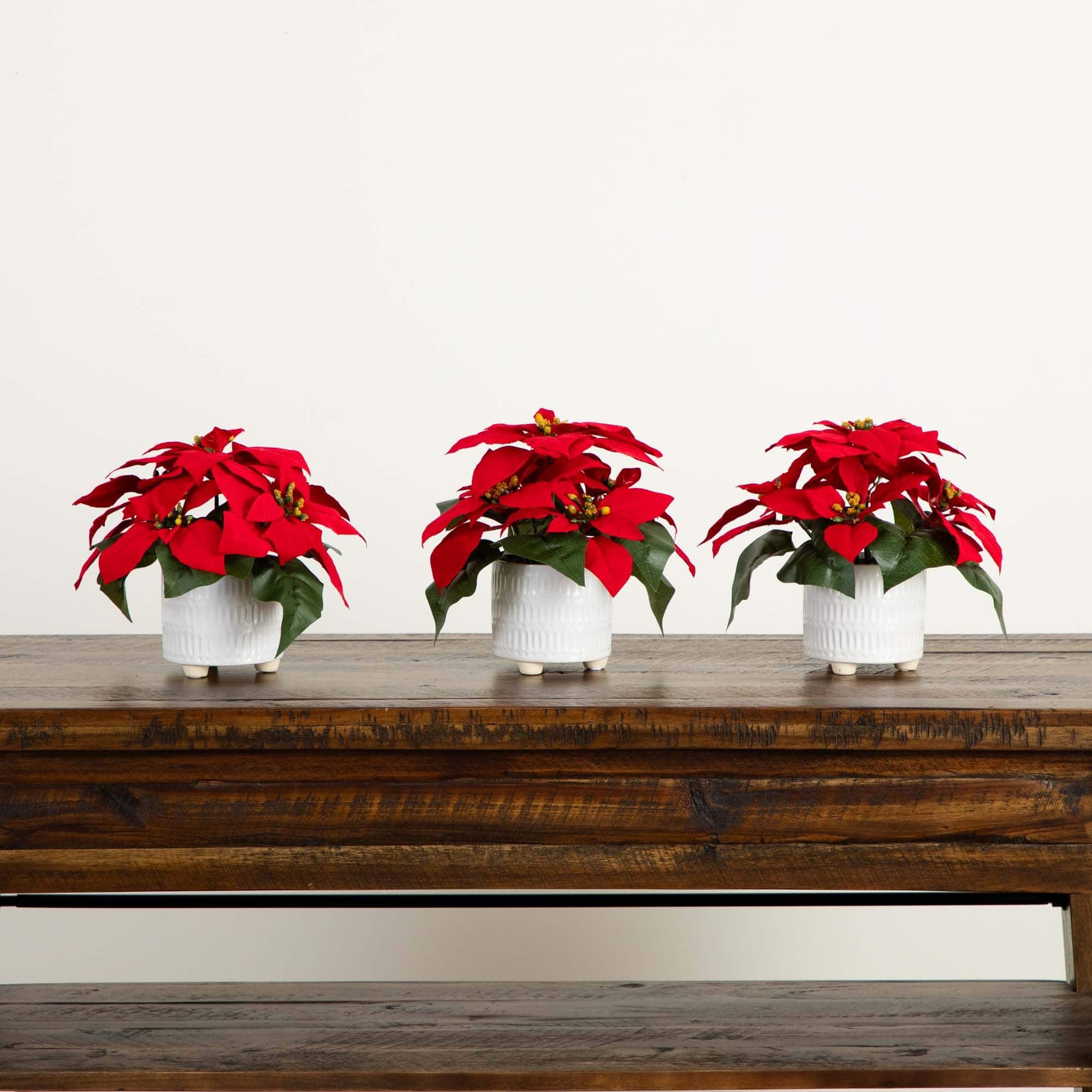 9" Artificial Poinsettia Arrangements in White Ceramic Pots, 3ct.