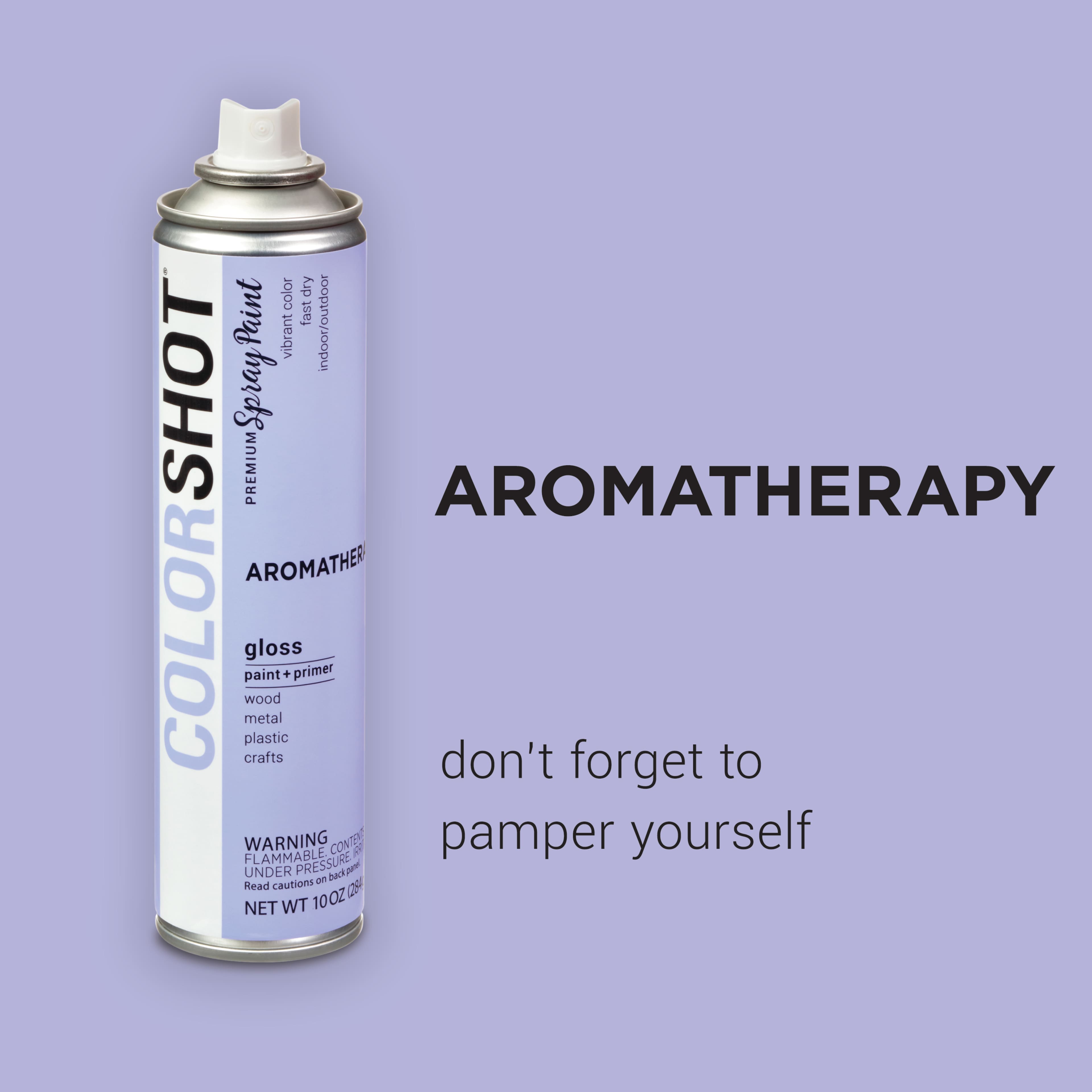 COLORSHOT&#xAE; Premium Gloss Spray Paint