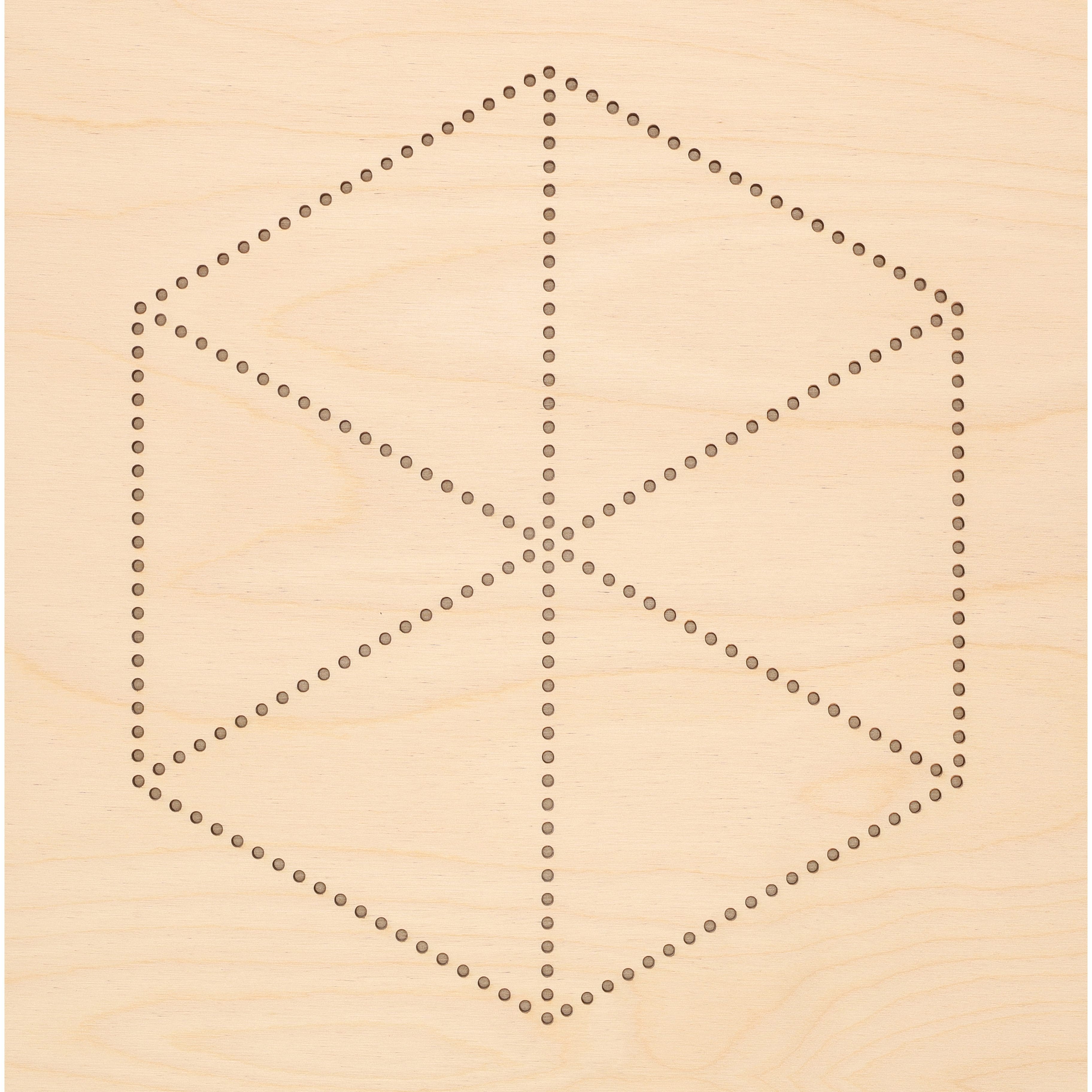 Leisure Arts&#xAE; Hexagon Flower Stitched String Art Shadow Box Kit