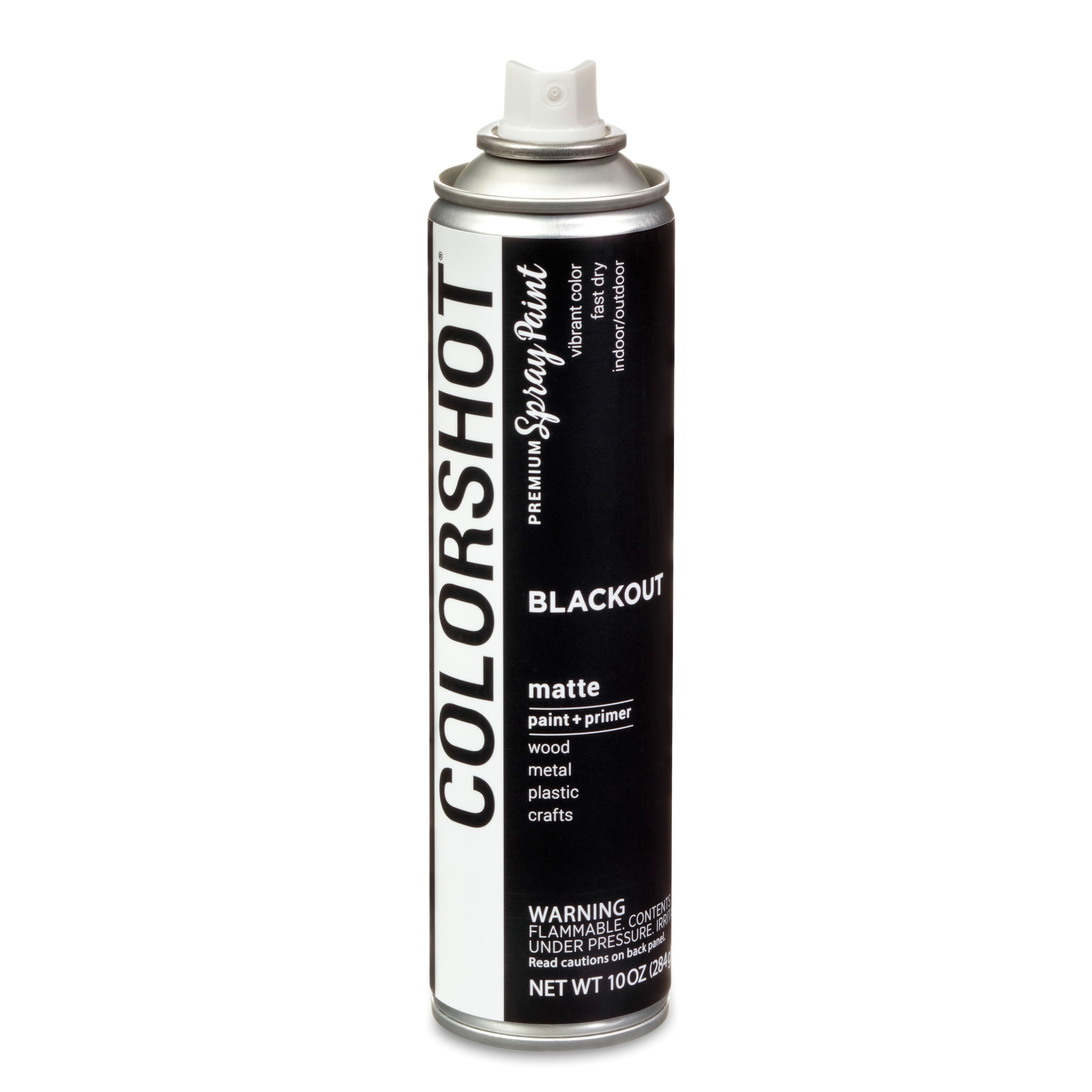 COLORSHOT&#xAE; Blackout Matte Spray Paint