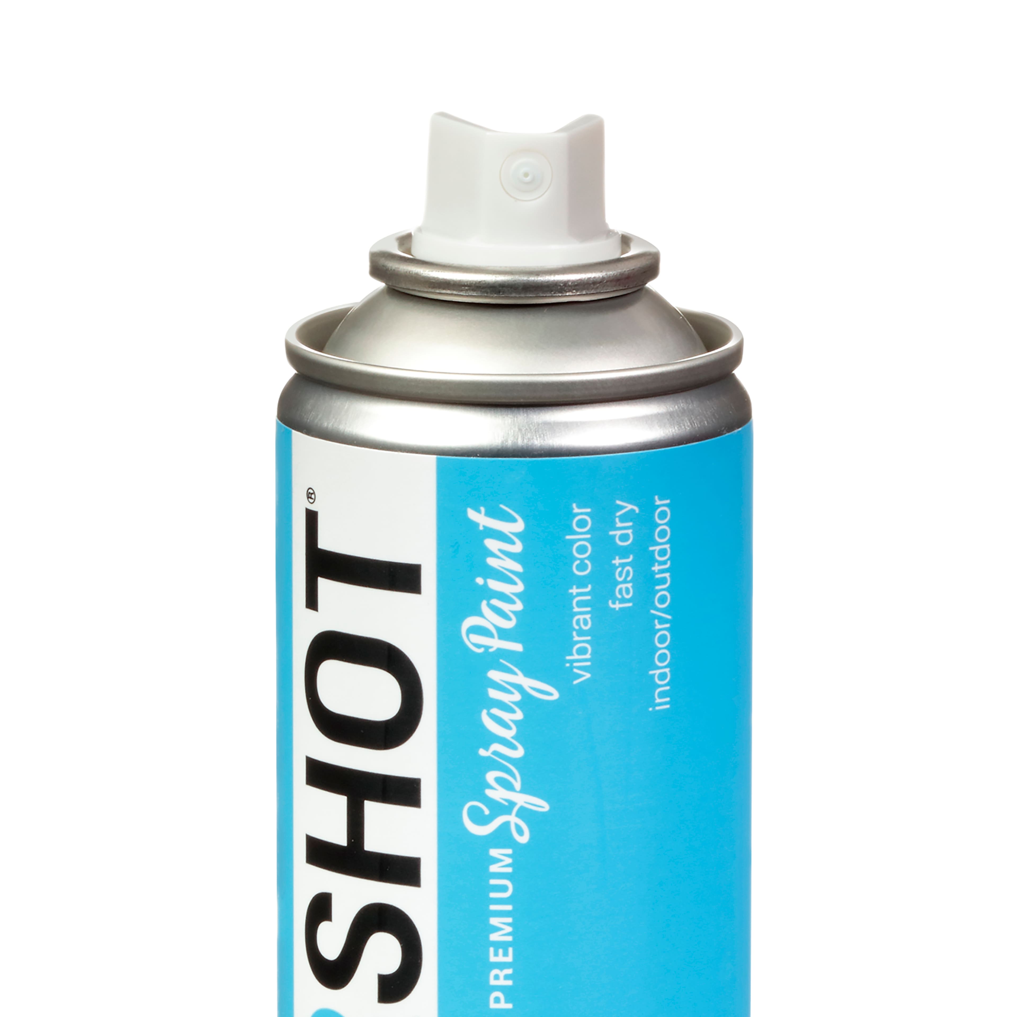 COLORSHOT&#xAE; Premium Satin Spray Paint