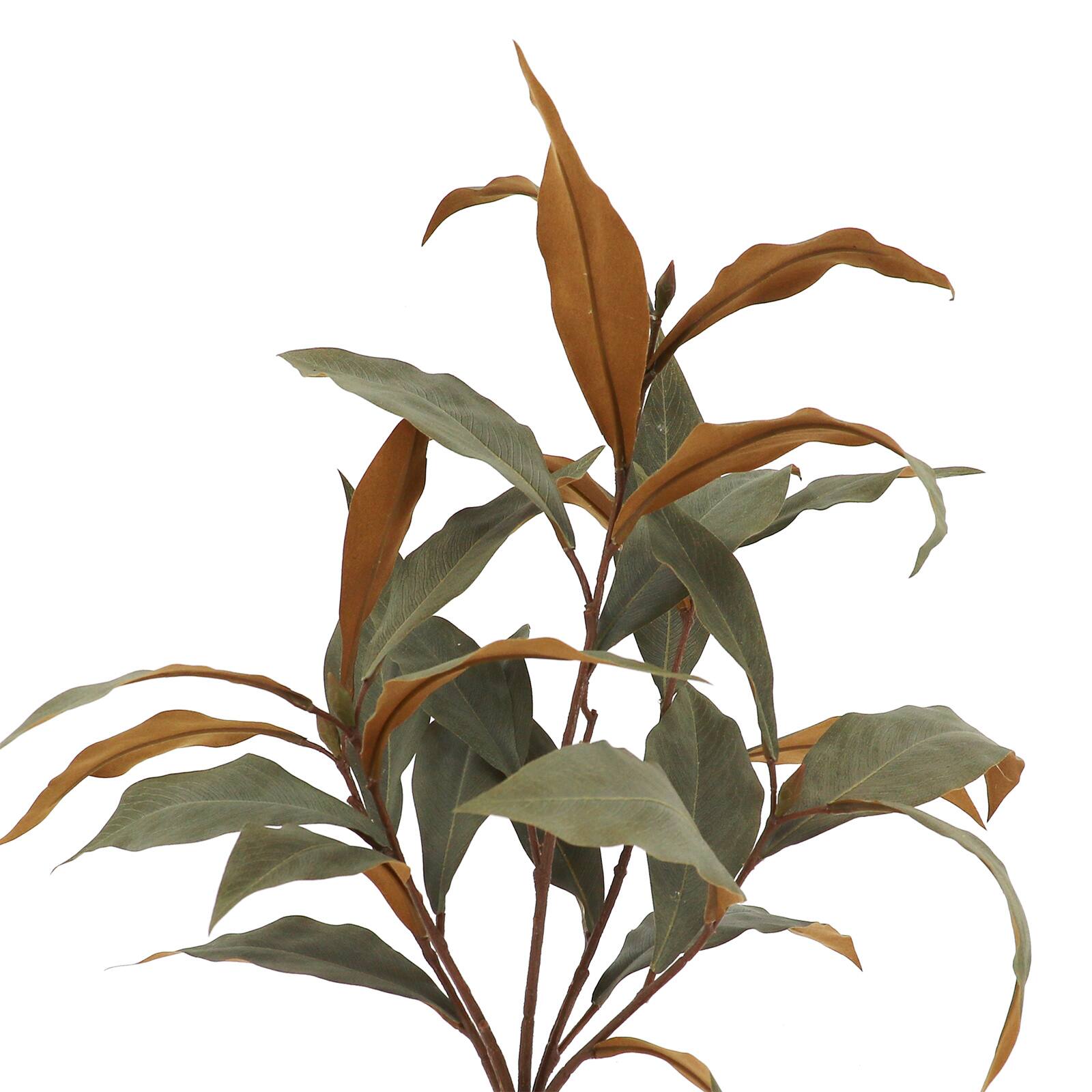 19" Green & Brown Long Leaf Eucalyptus Bush by Ashland®