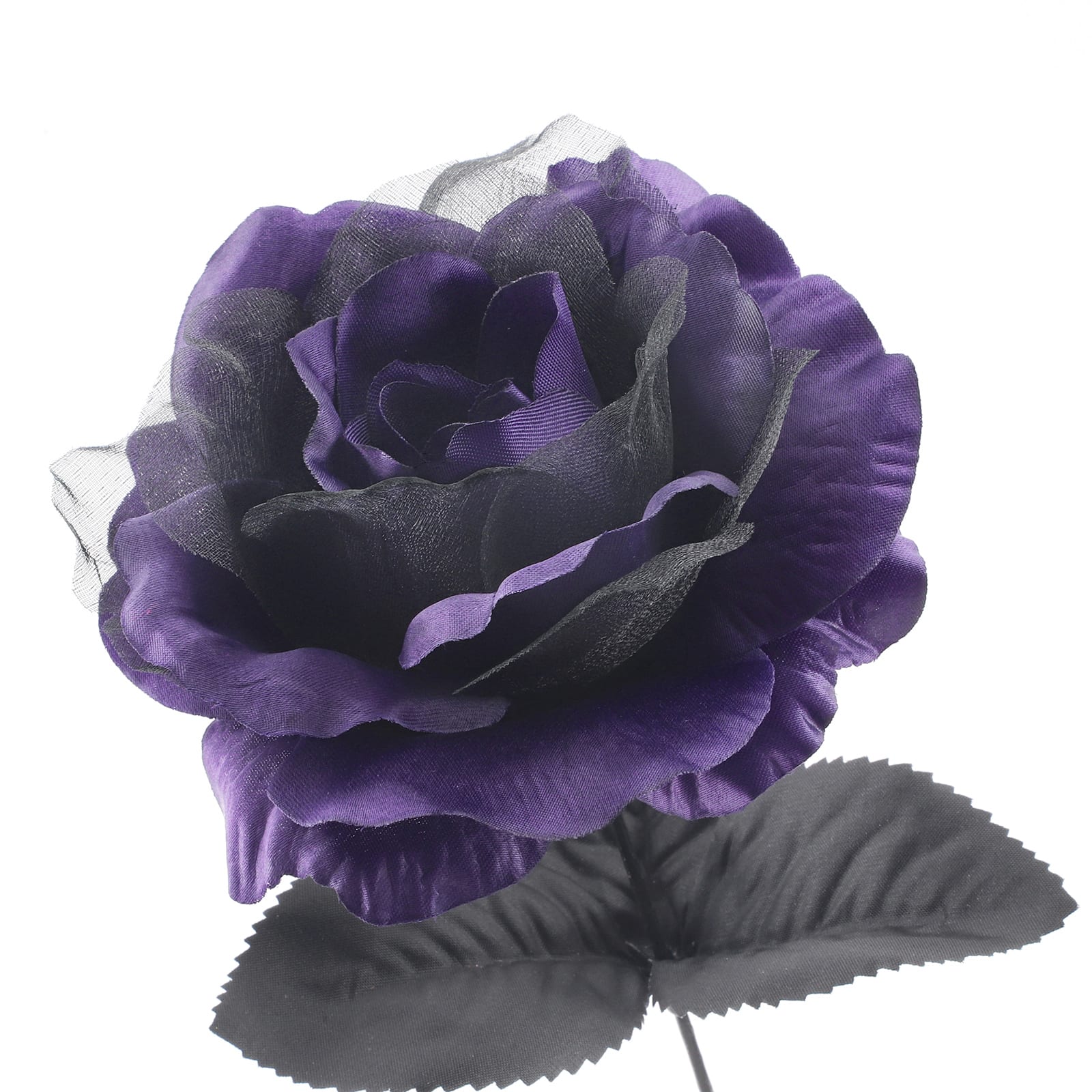 18&#x22; Black &#x26; Purple Halloween Rose Bush by Ashland&#xAE;
