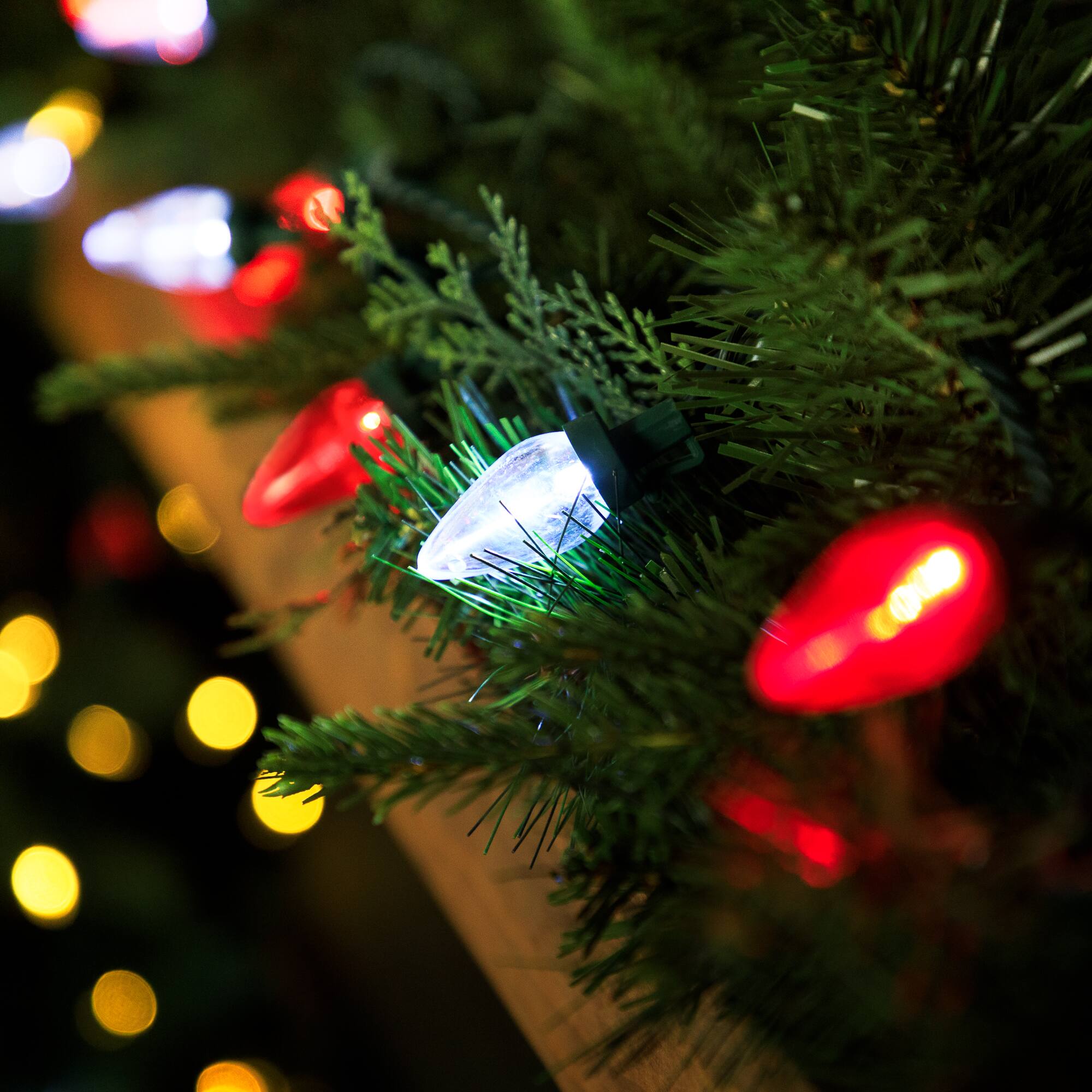 25ct. LED C7 Christmas String Lights