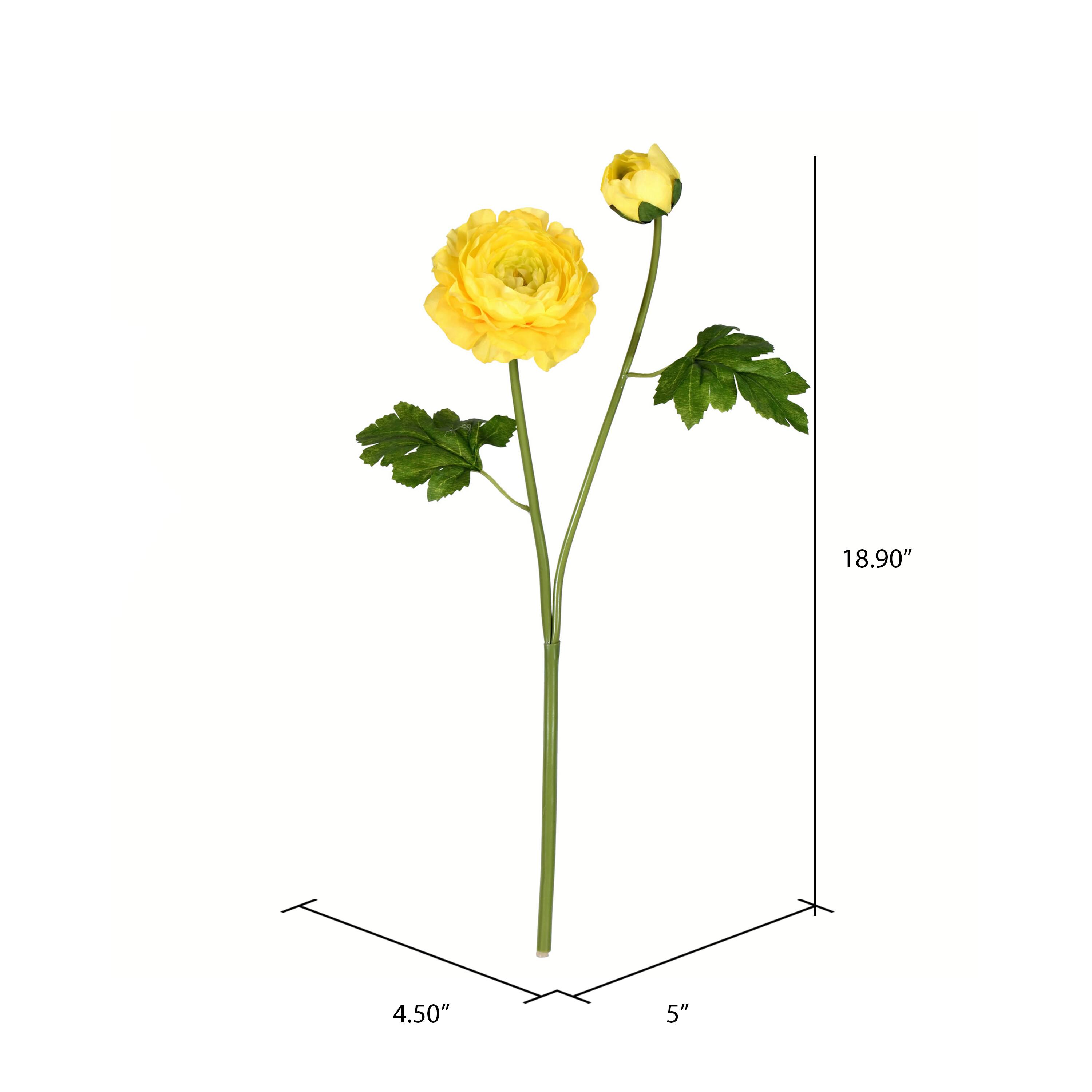Yellow Ranunculus Stem, 6ct.