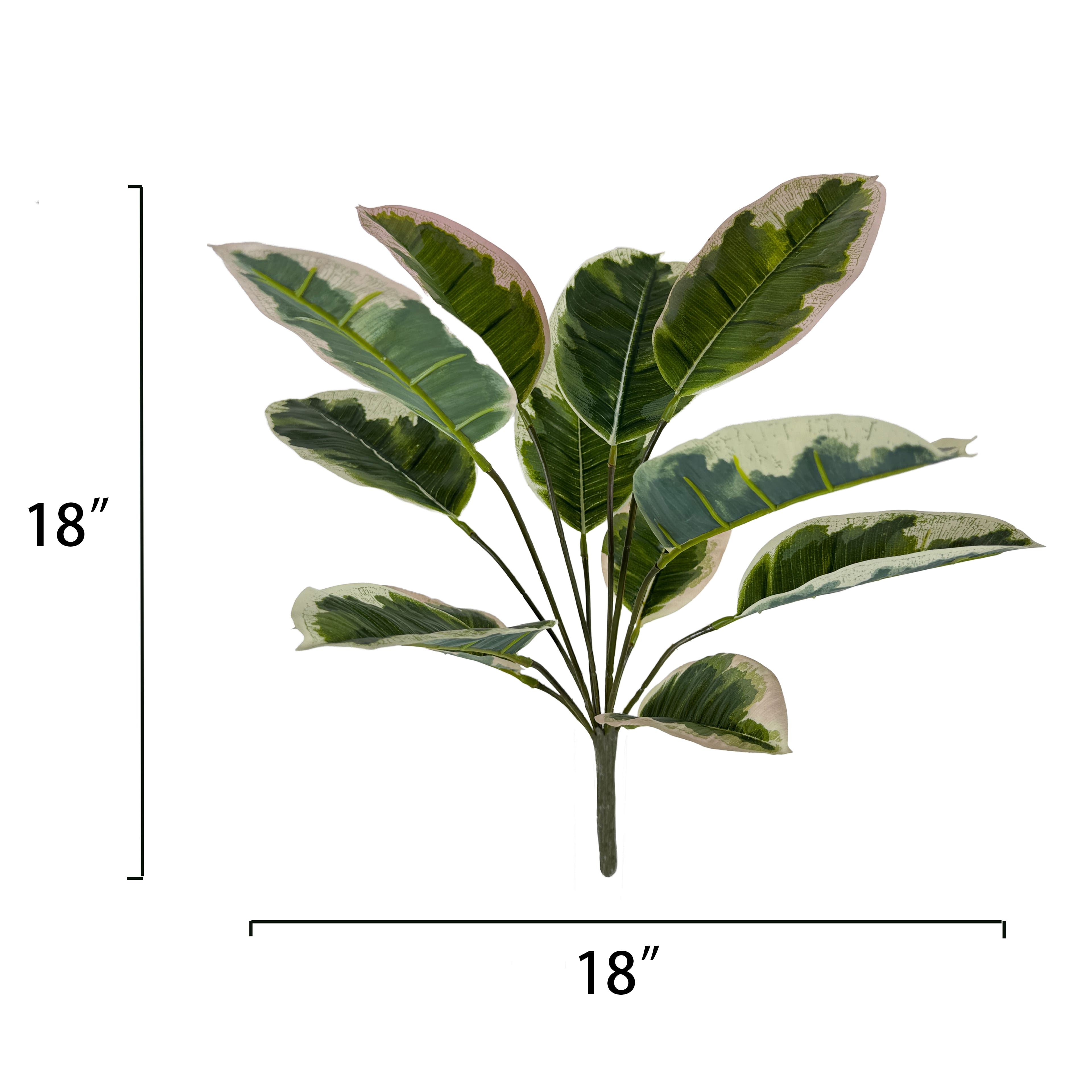 18&#x22; Green &#x26; Pink Ficus Bush by Ashland&#xAE;