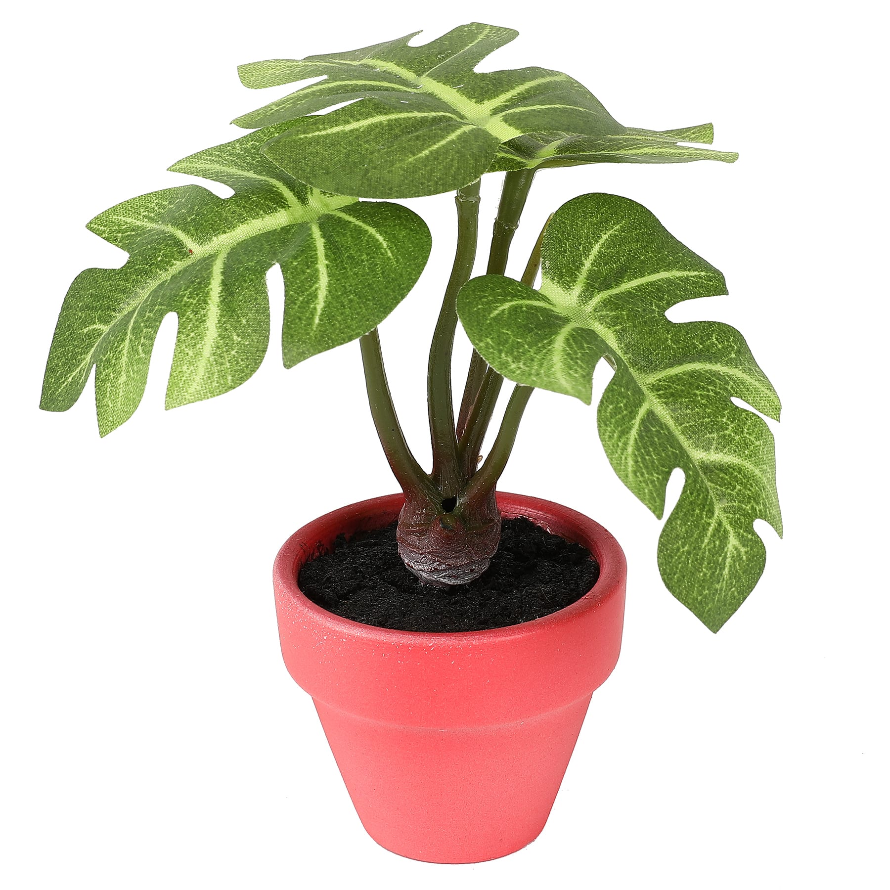 4&#x22; Potted Monstera Leaves Plant by Ashland&#xAE;