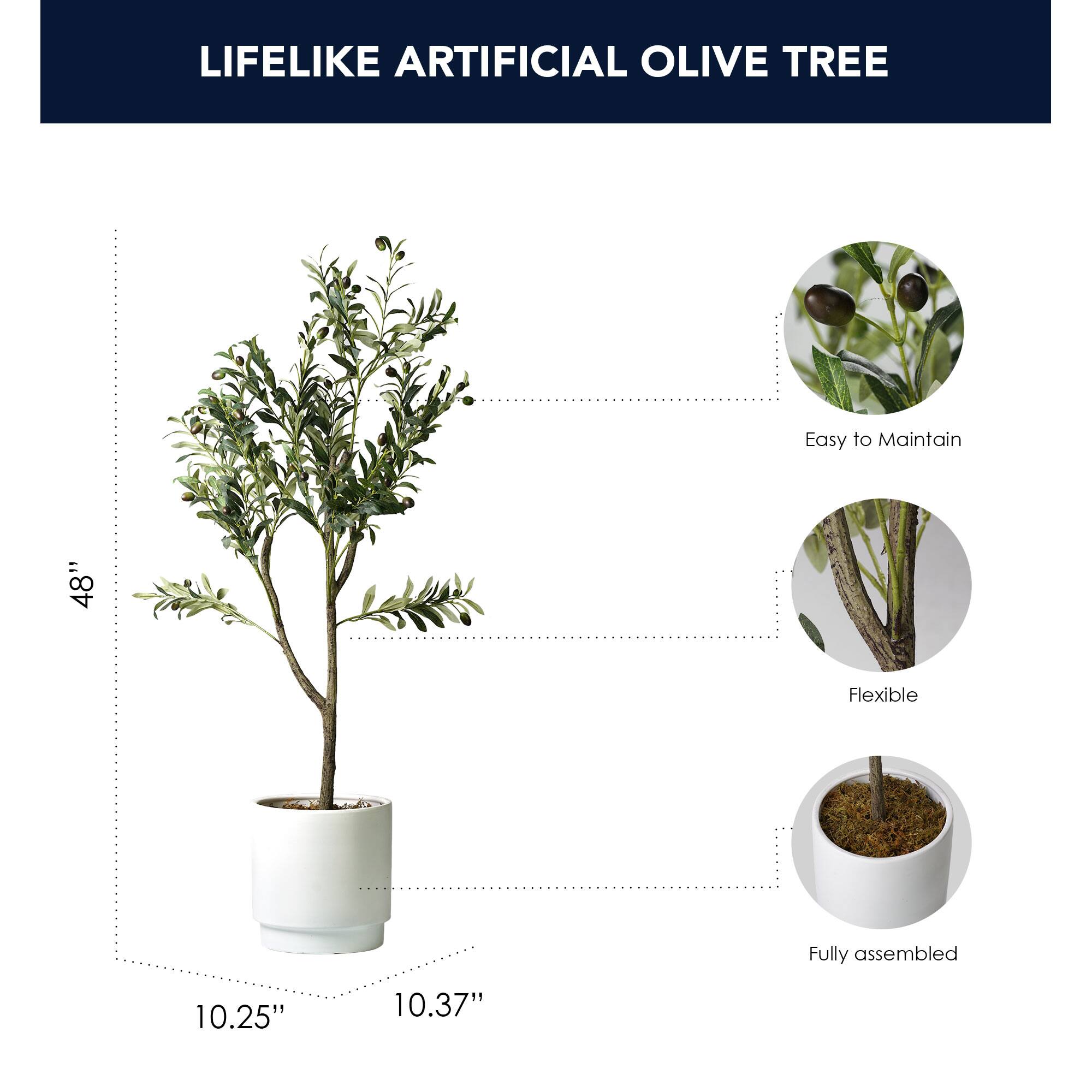 American Art Decor 4ft. Olive Tree in White Ceramic Pot