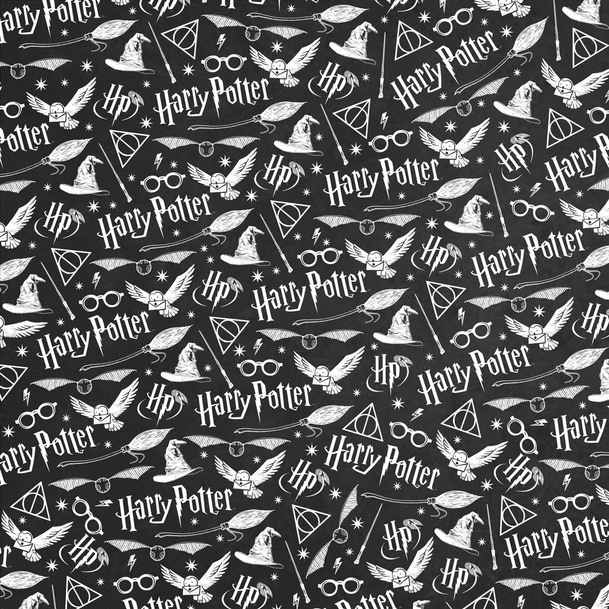 Paper House&#xAE; Harry Potter Pattern Double-Sided 12&#x22; x 12&#x22; Cardstock, 15 Sheets