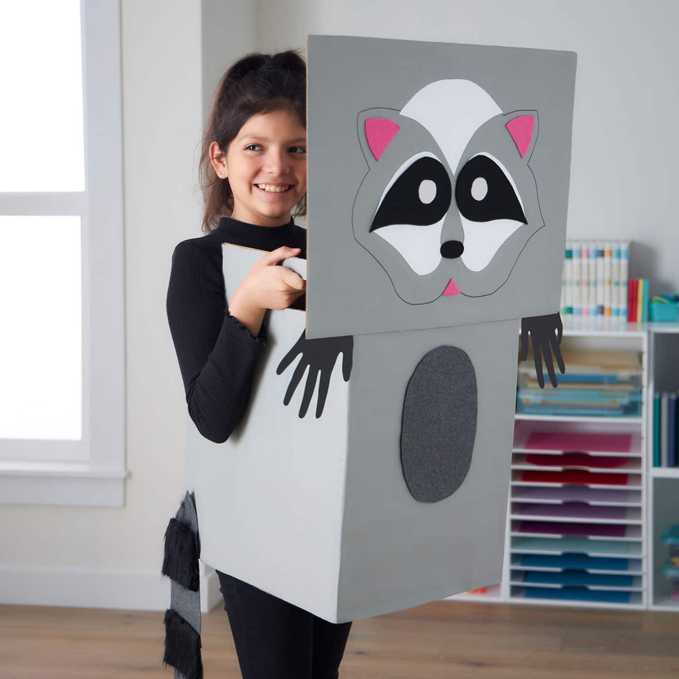 Cardboard Box Raccoon Costume | Projects | Michaels