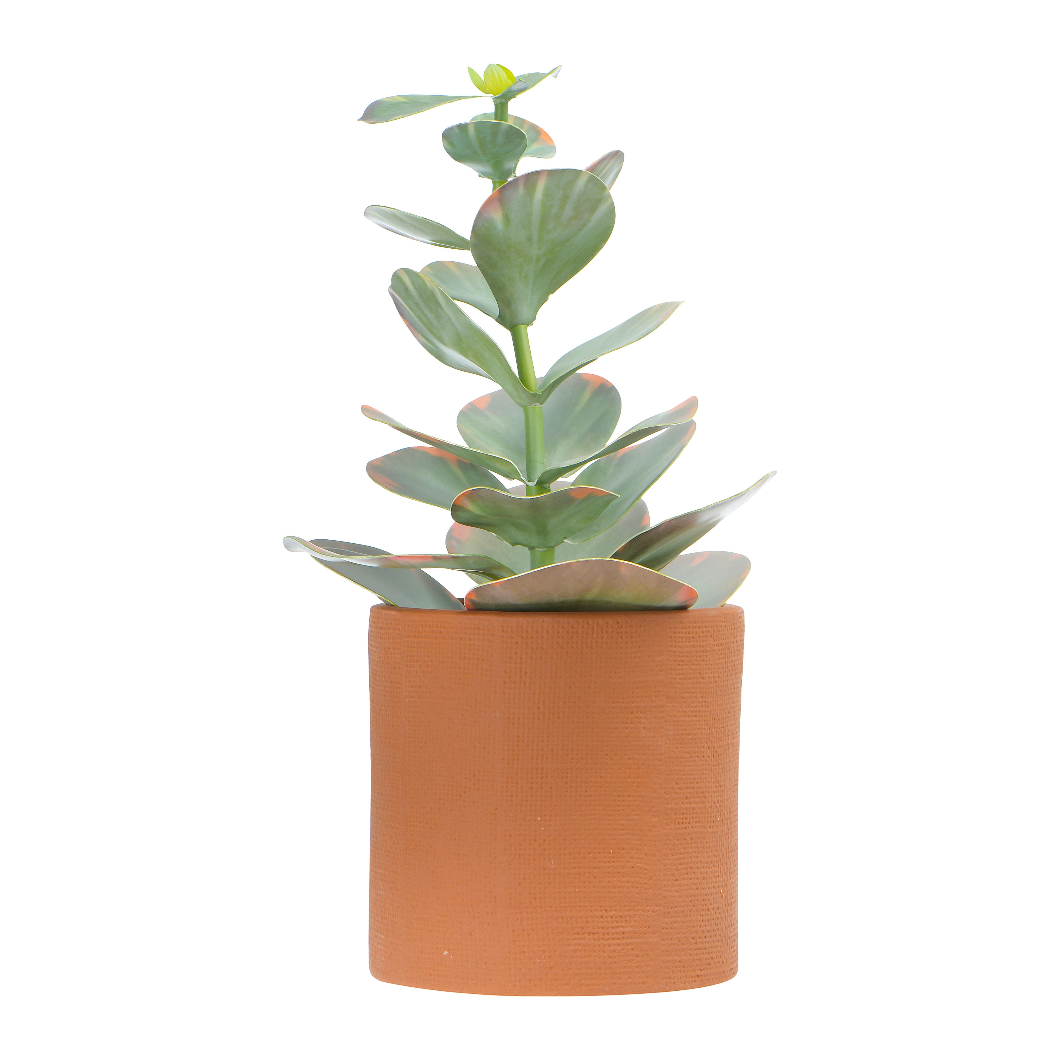 Hello Honey&#xAE; 7&#x22; Stoneware Planter