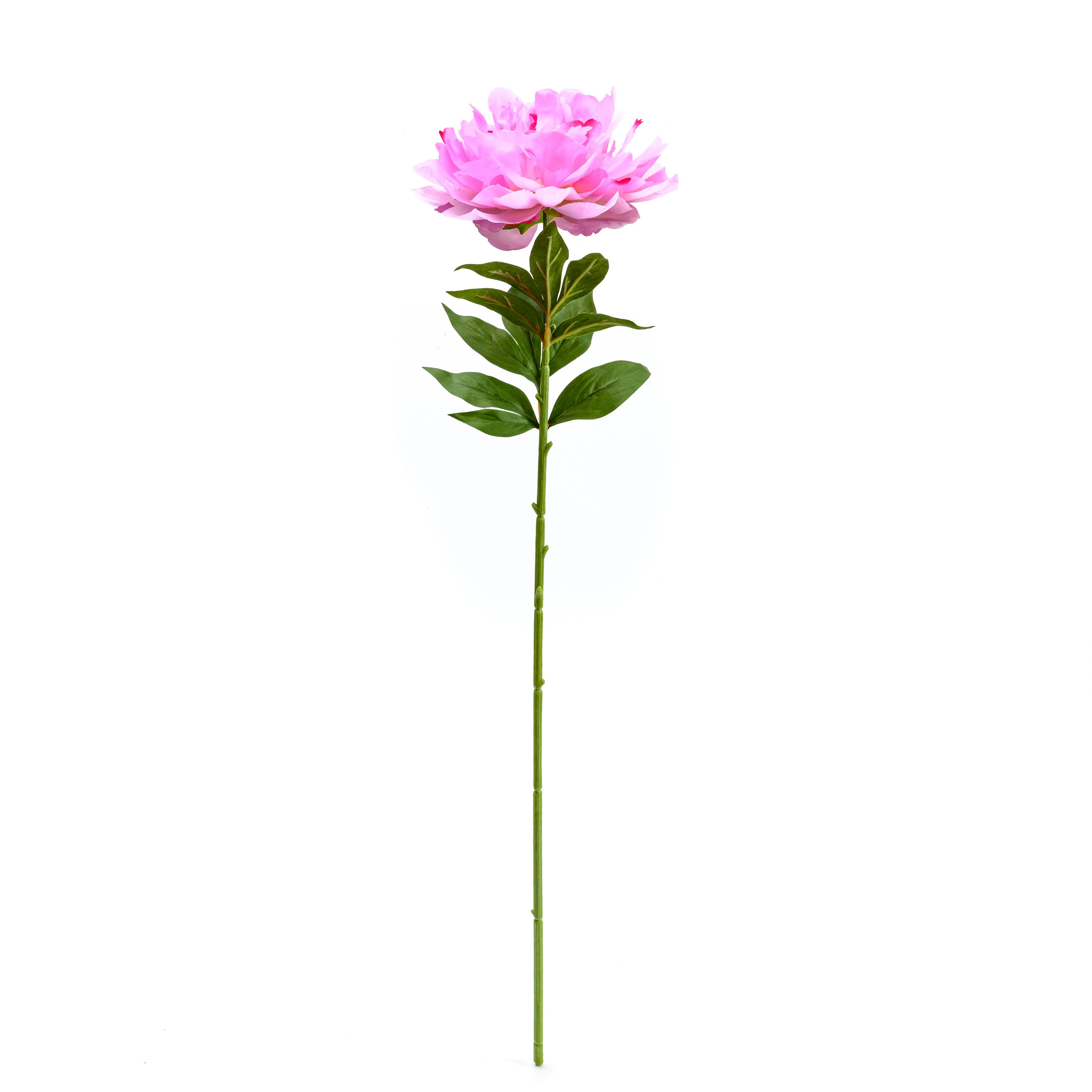 25&#x22; Pink Peony Stem by Ashland&#xAE;