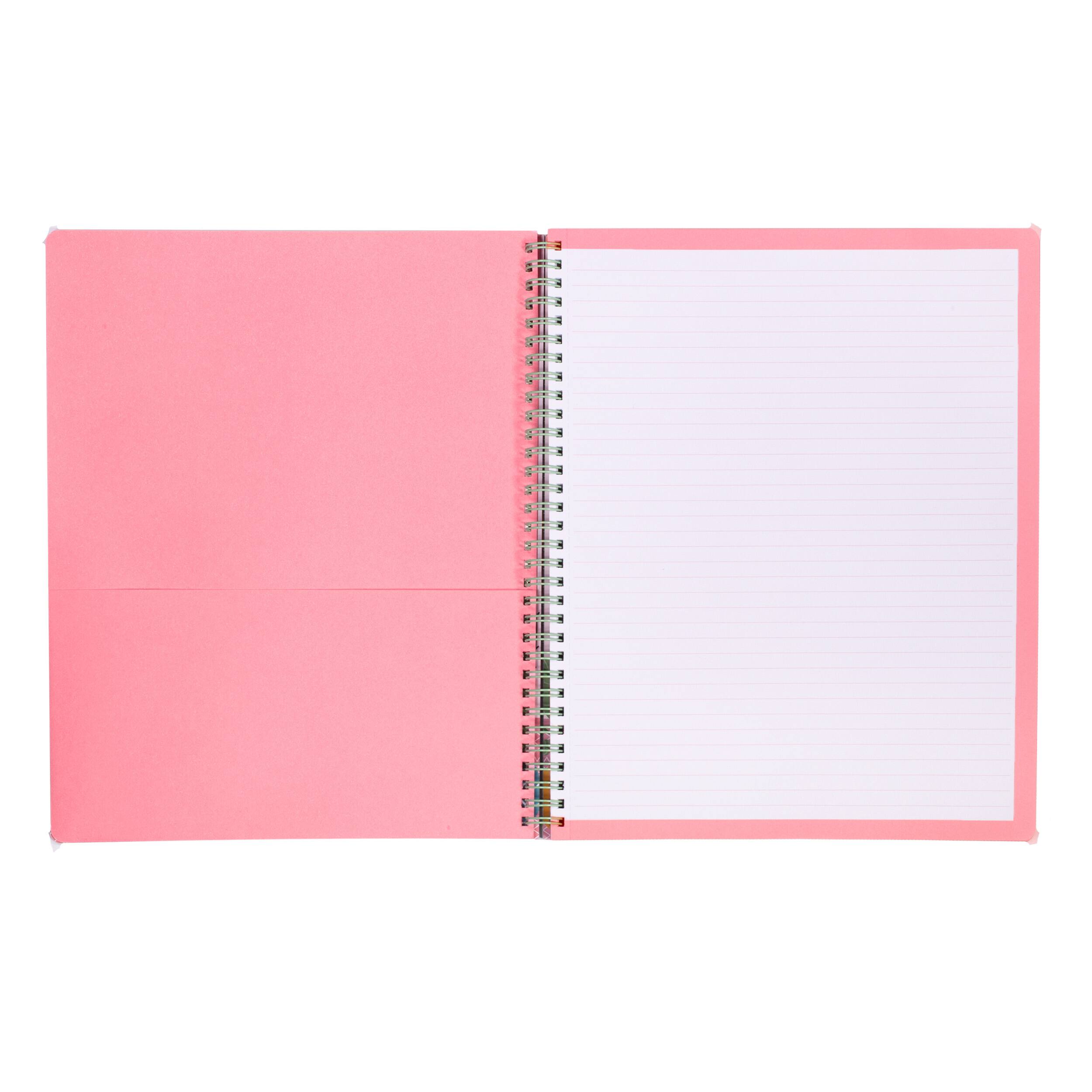 Steel Mill &#x26; Co.&#xAE; Succulents Large Notebook