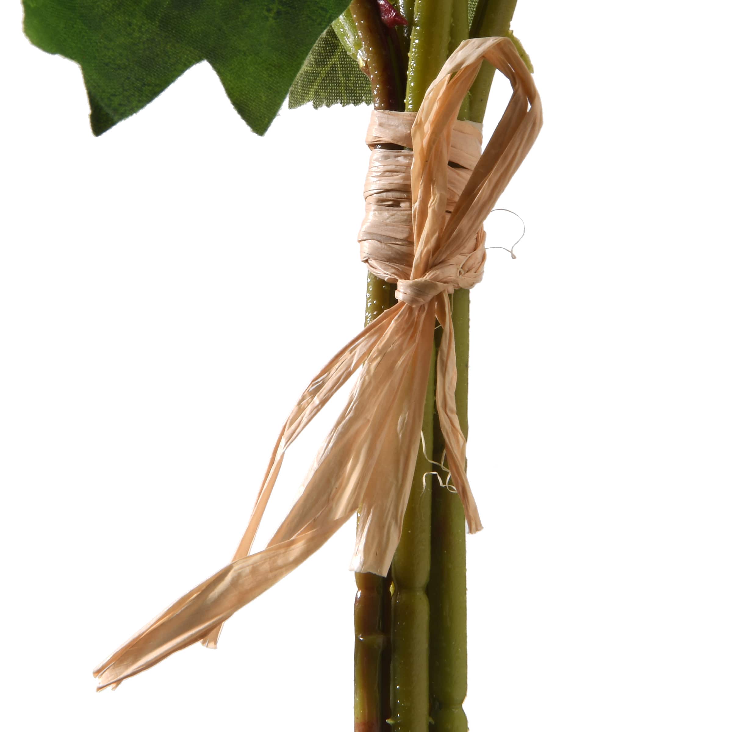 Pink Roses & Berries Bundle