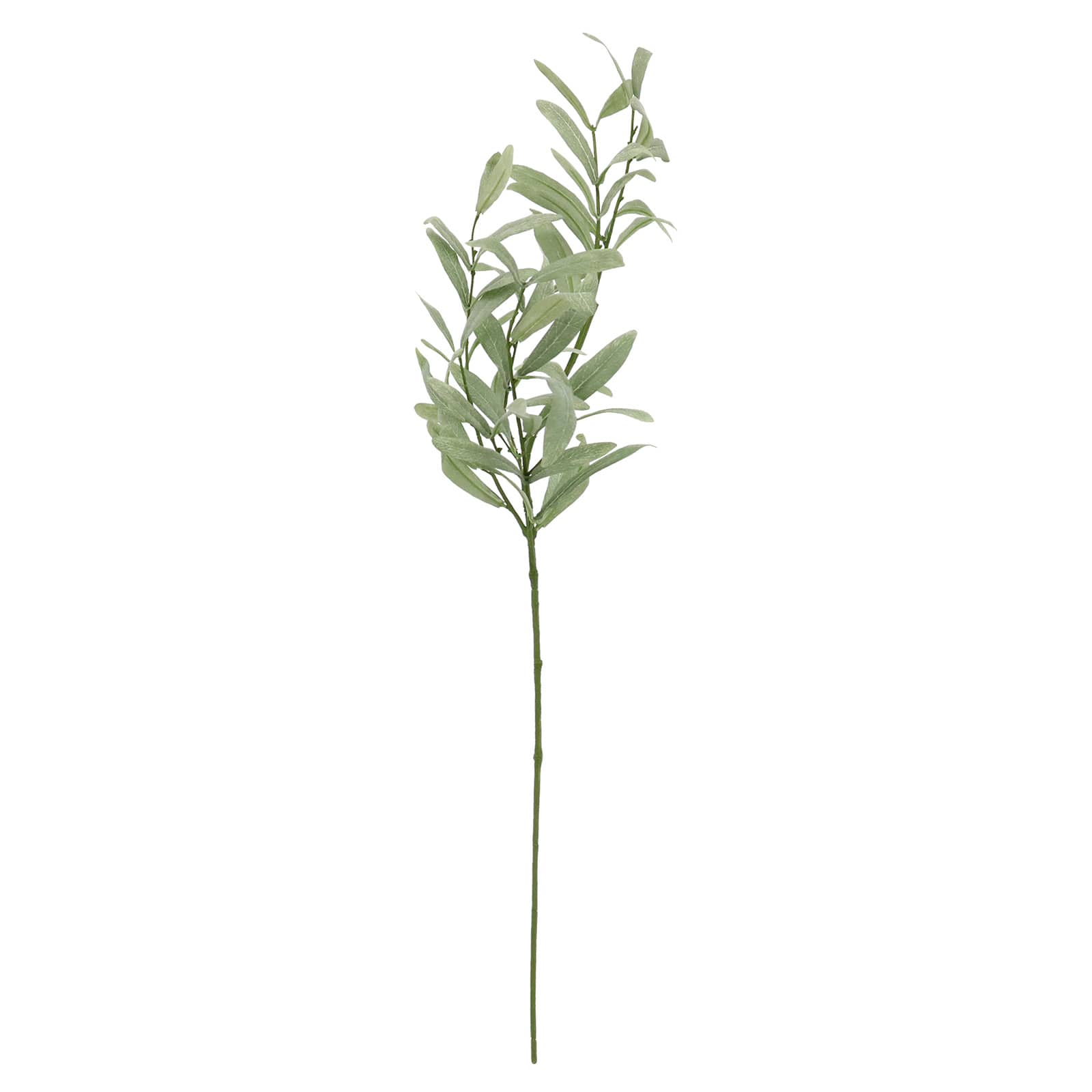 12 Pack: 32" Green Olive Branch Stem by Ashland®