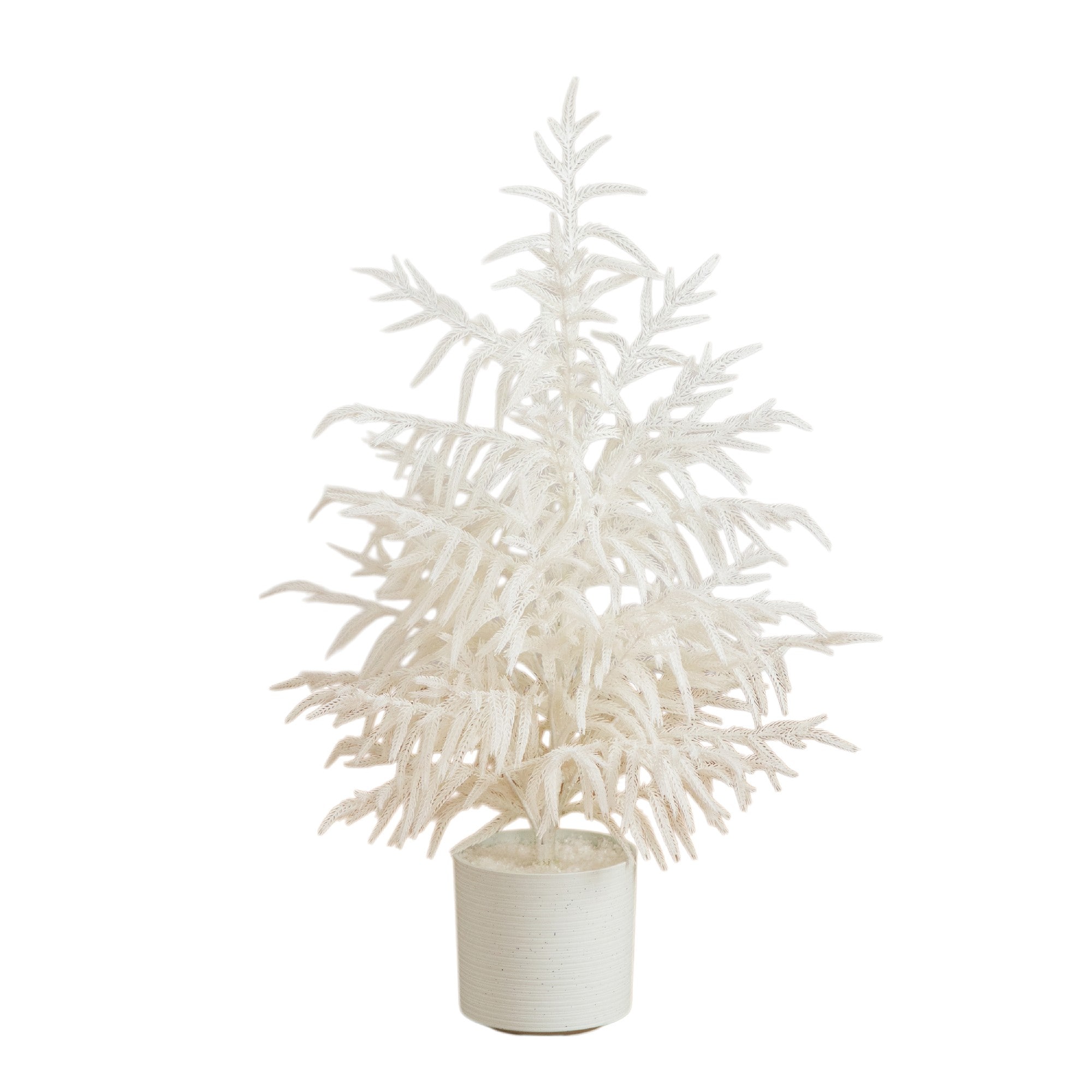 3ft. Artificial Real Touch White Norfolk Island Pine Christmas Tree with Natural Look