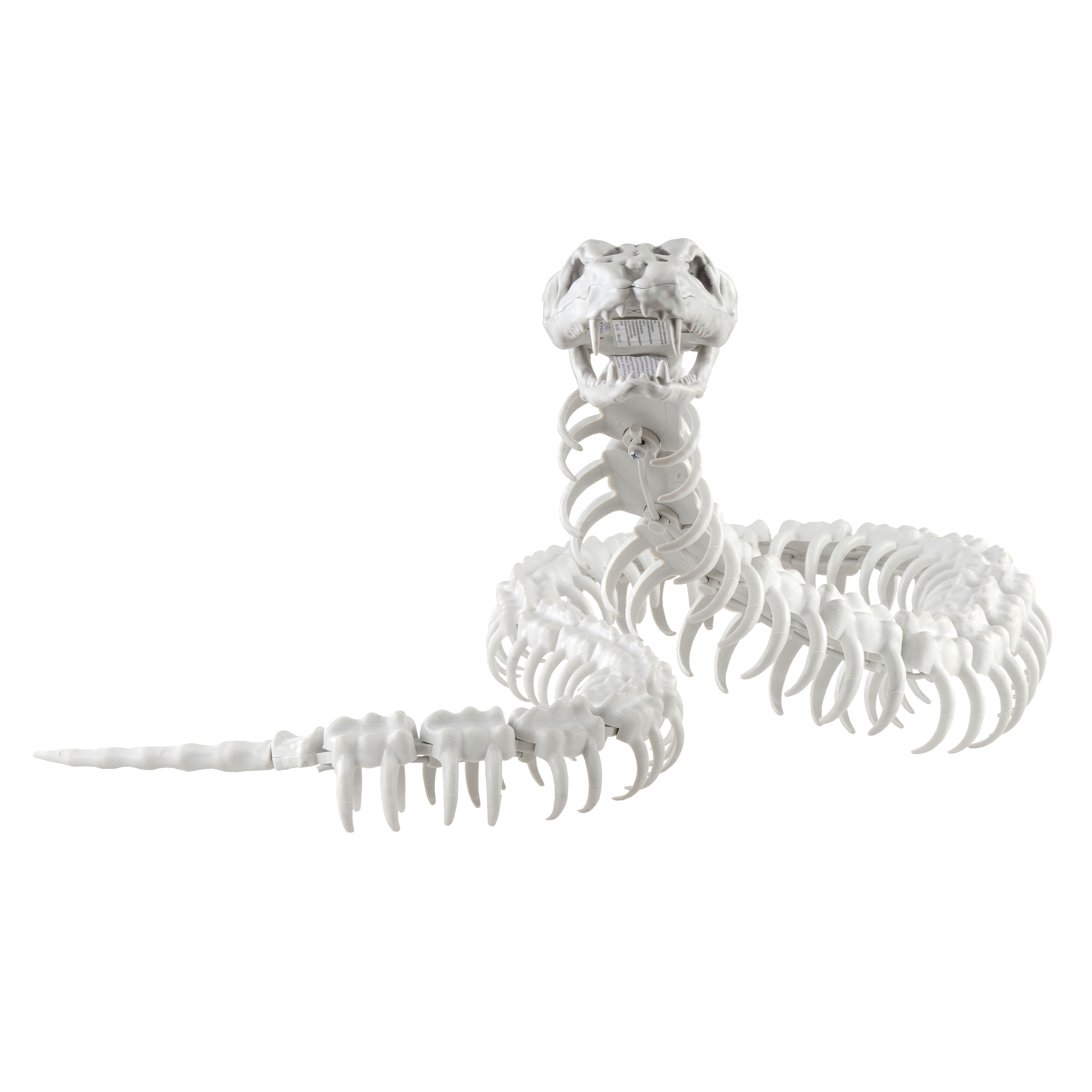 4.7ft. Sound Activated Snake Skeleton with Red Light-Up Eyes by Ashland&#xAE;