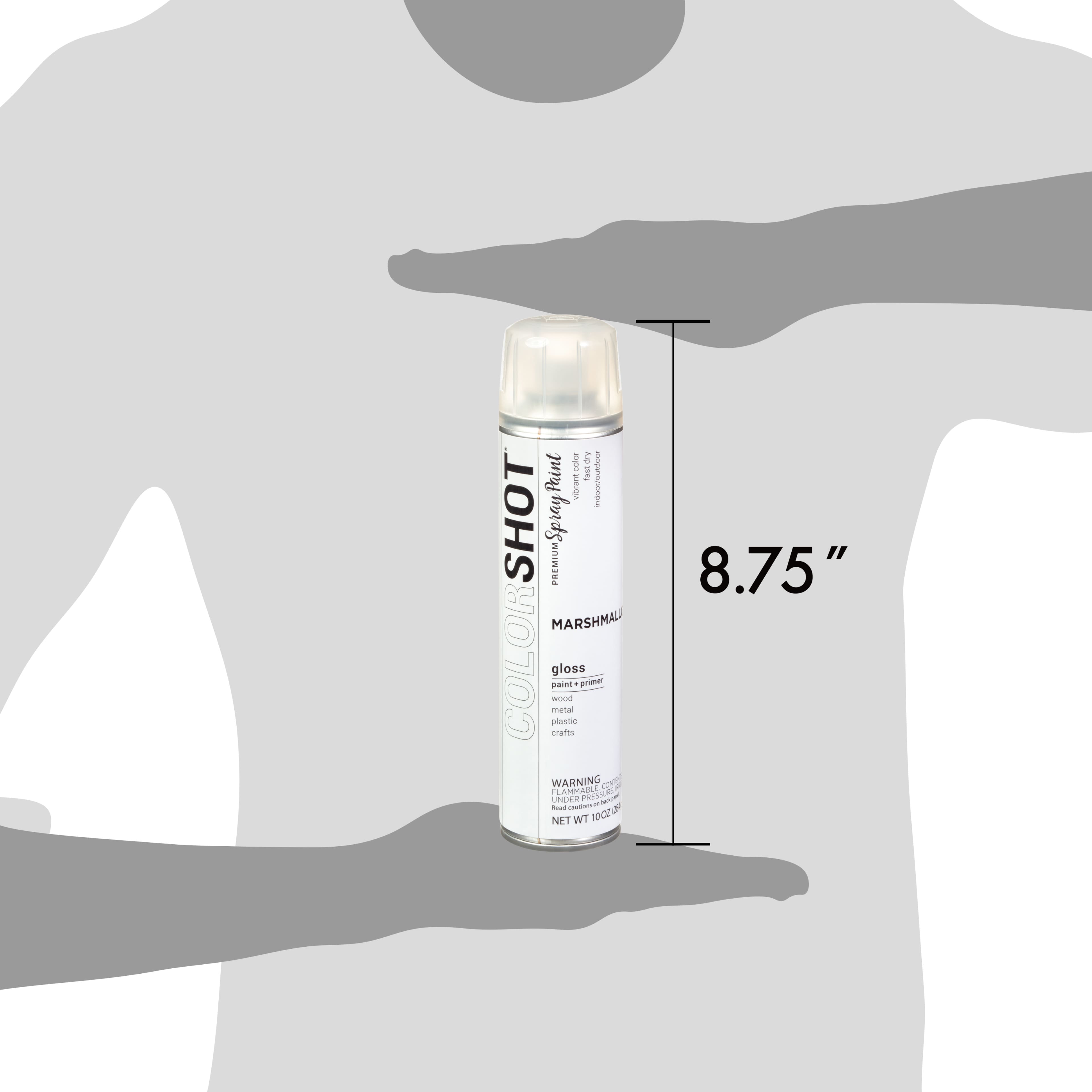 COLORSHOT® Premium Gloss Spray Paint