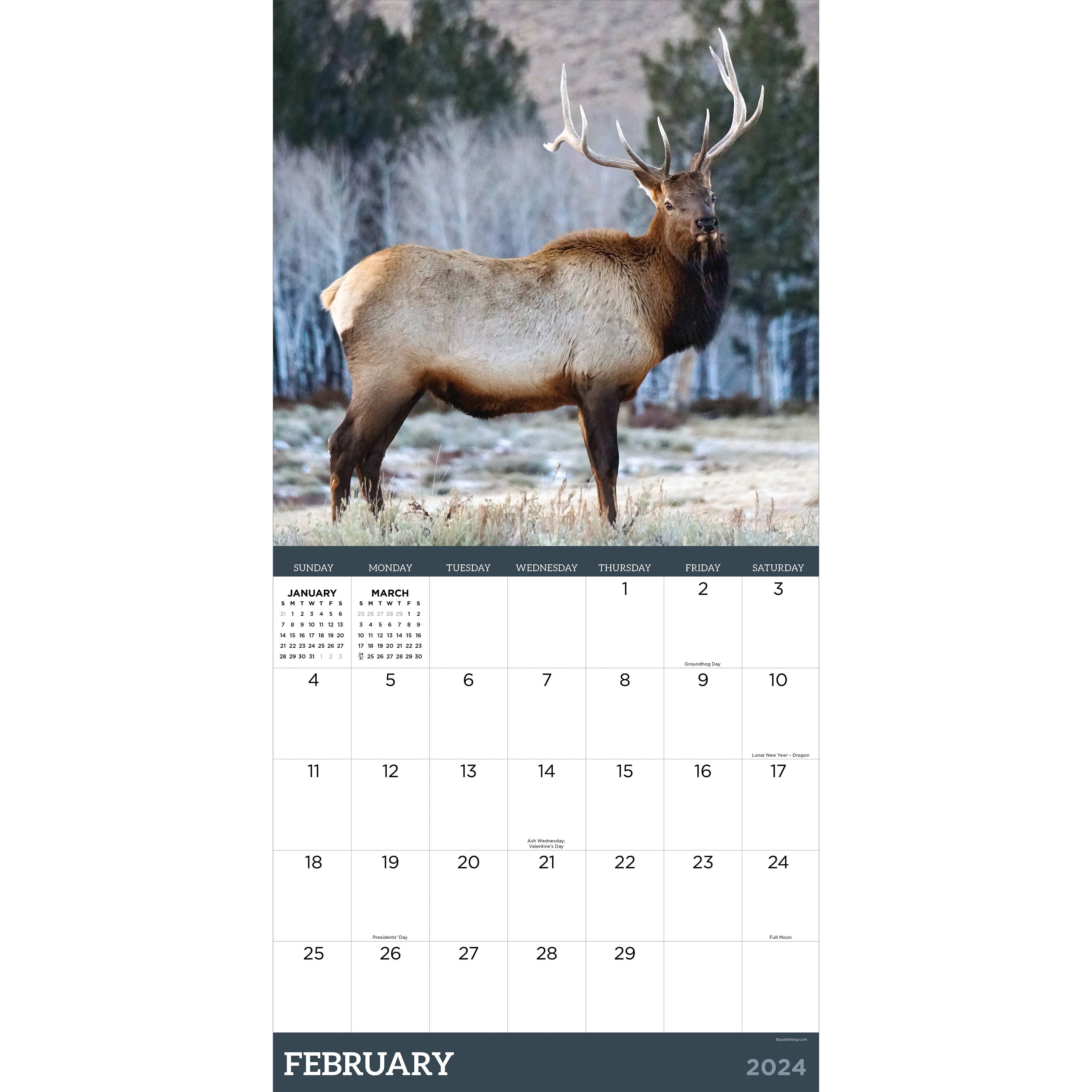 TF Publishing 2024 Deer Wall Calendar