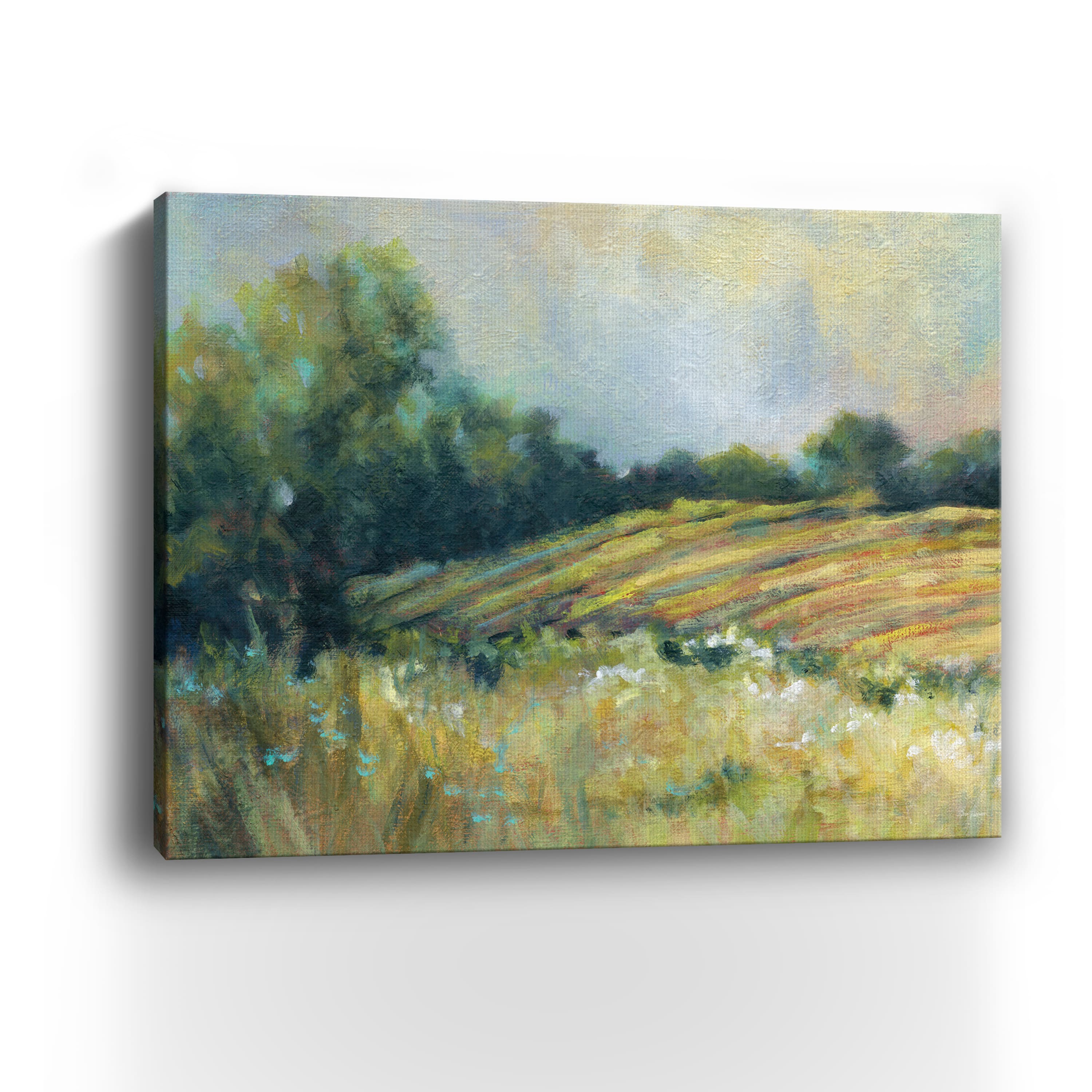 Pastoral Field Canvas Giclee