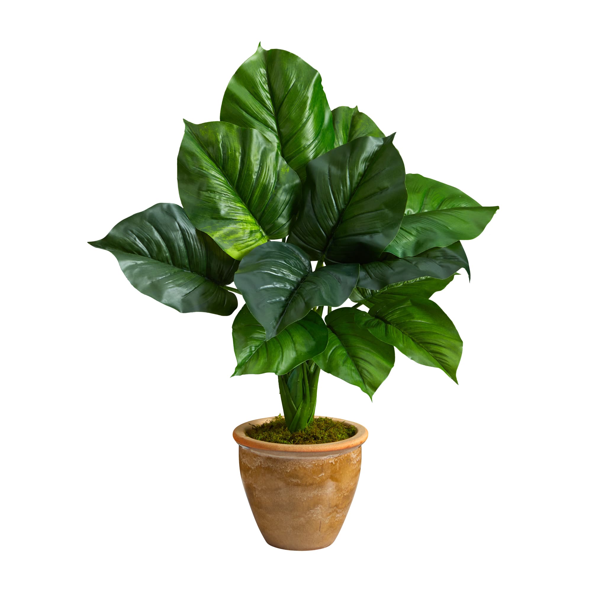 2.5ft. Large Philodendron Leaf Plant in Decorative Planter