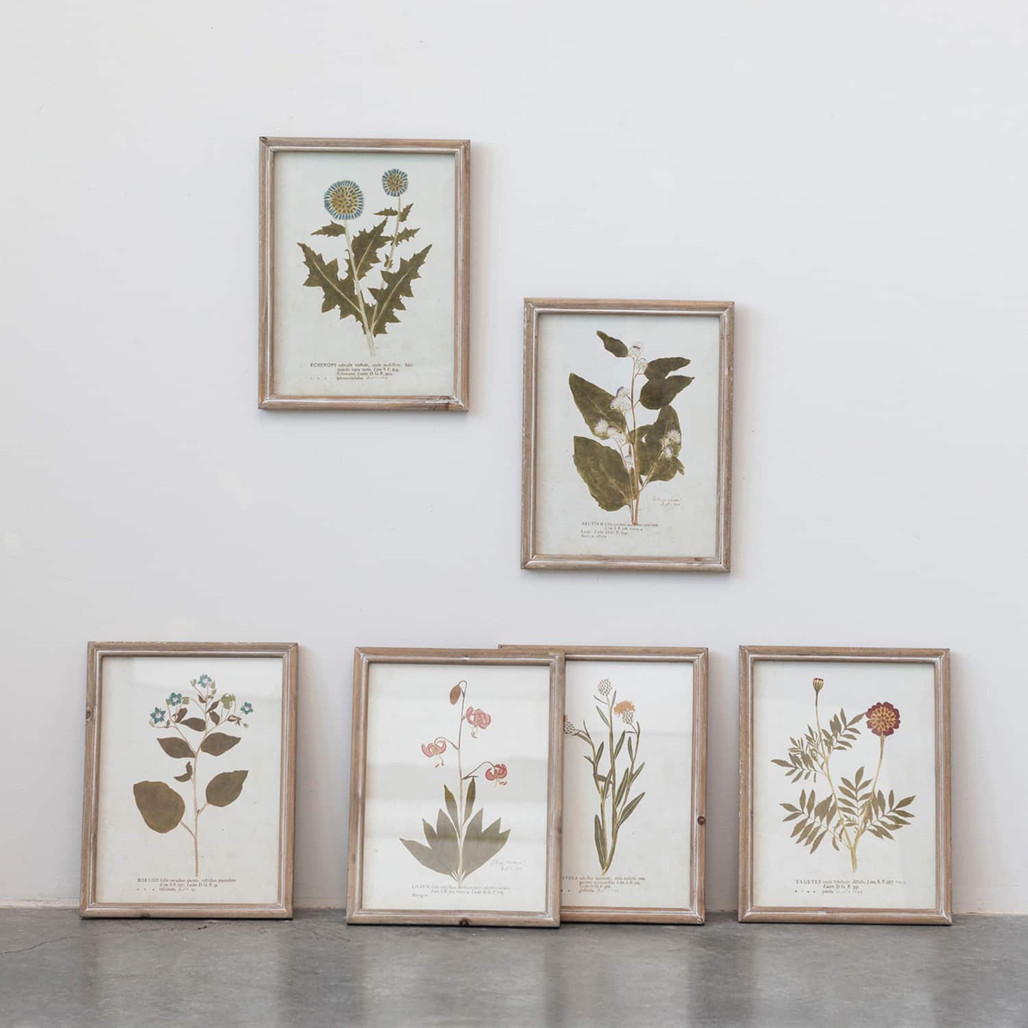 Botanical Print Wood Framed Set