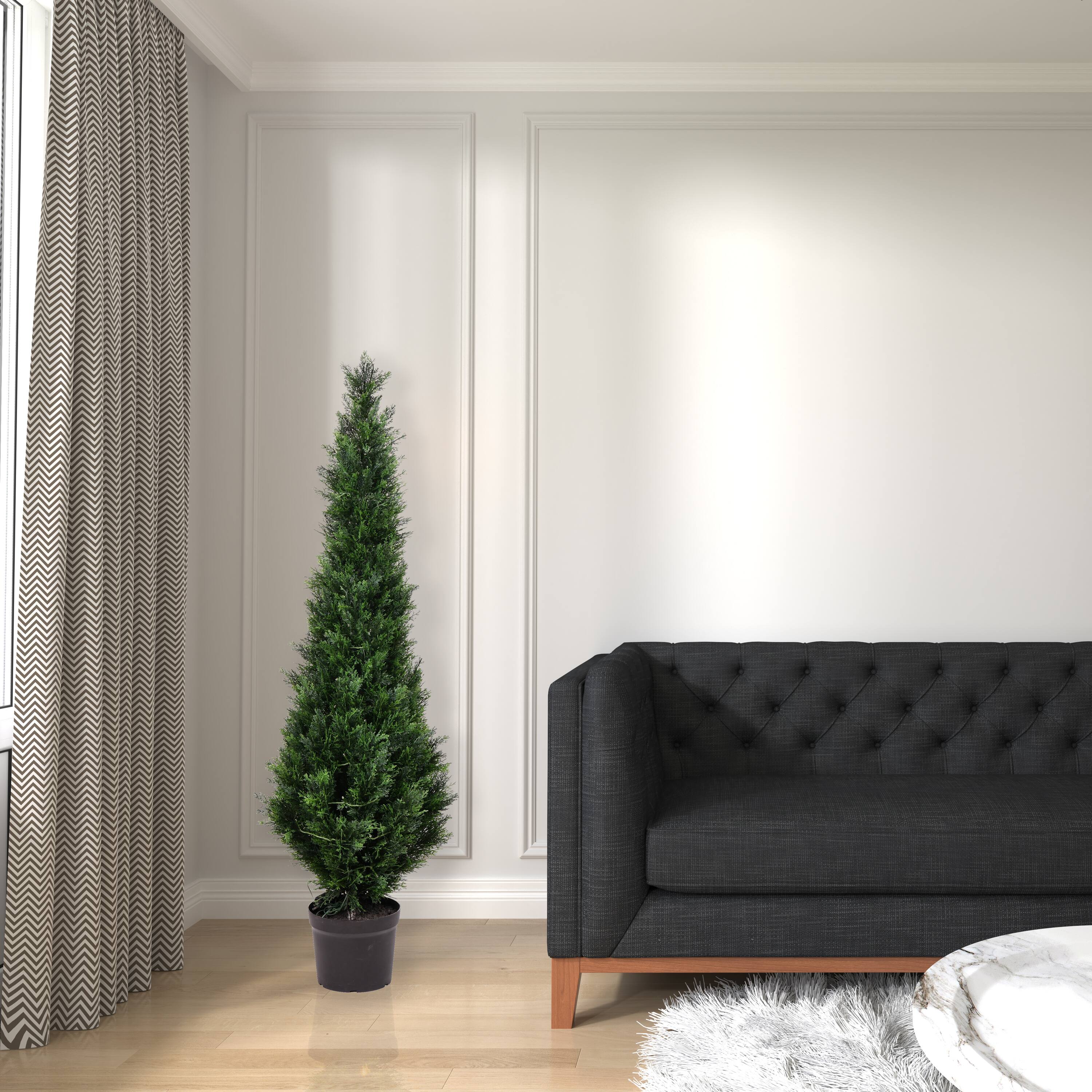 5ft. Potted Cedar Tree