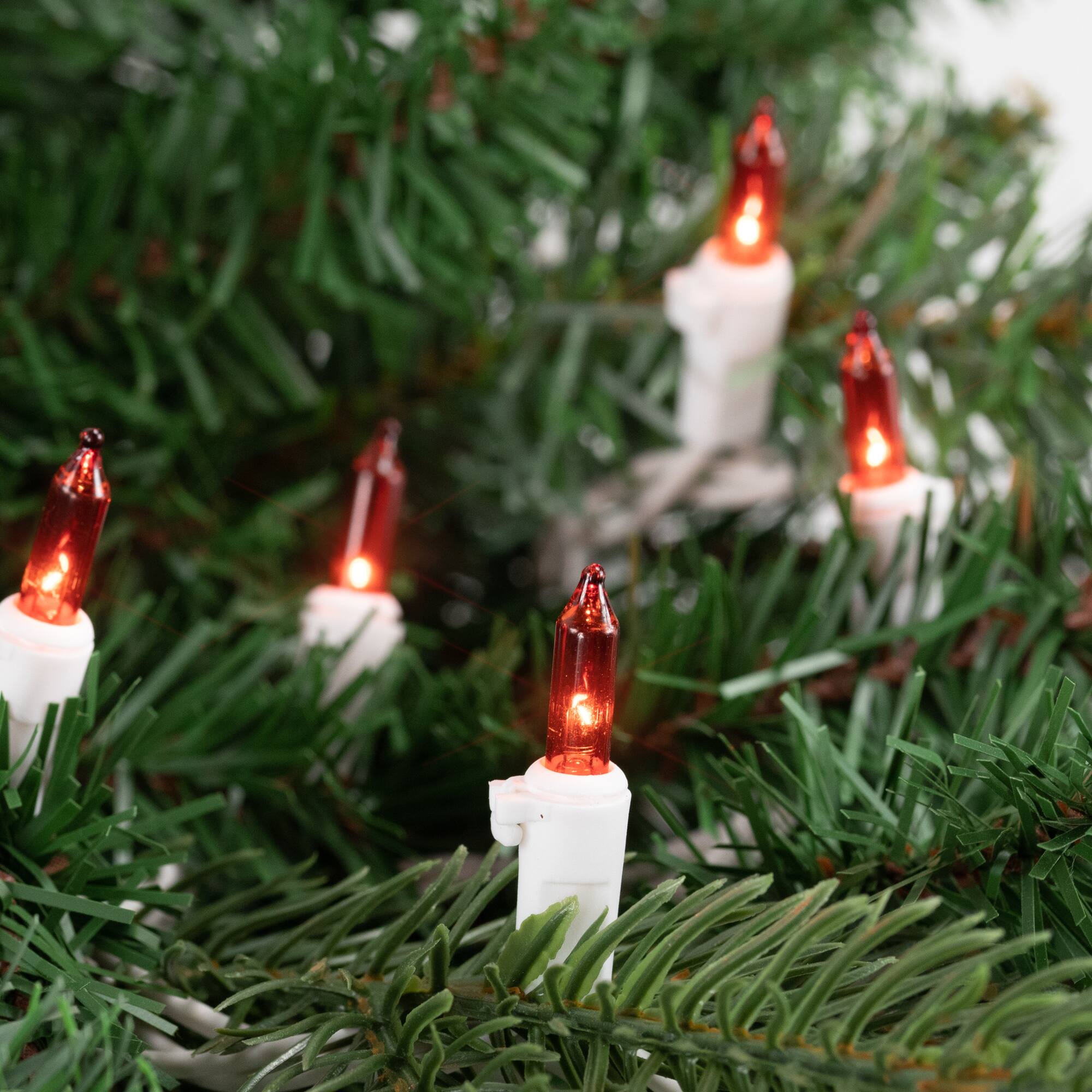 100ct. Mini Christmas String Lights with White Wire