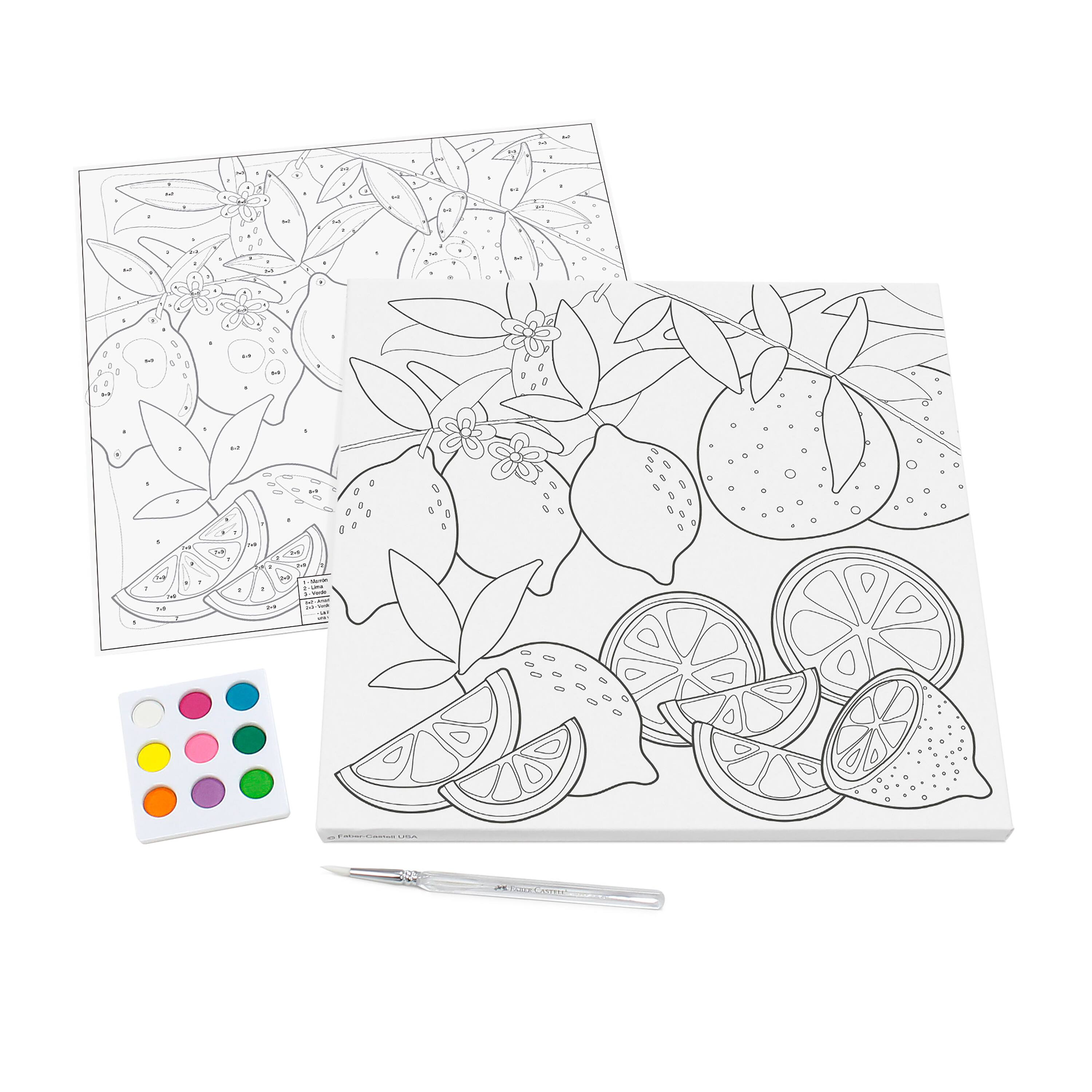 Faber-Castell Produce Paint by Number Watercolor Set