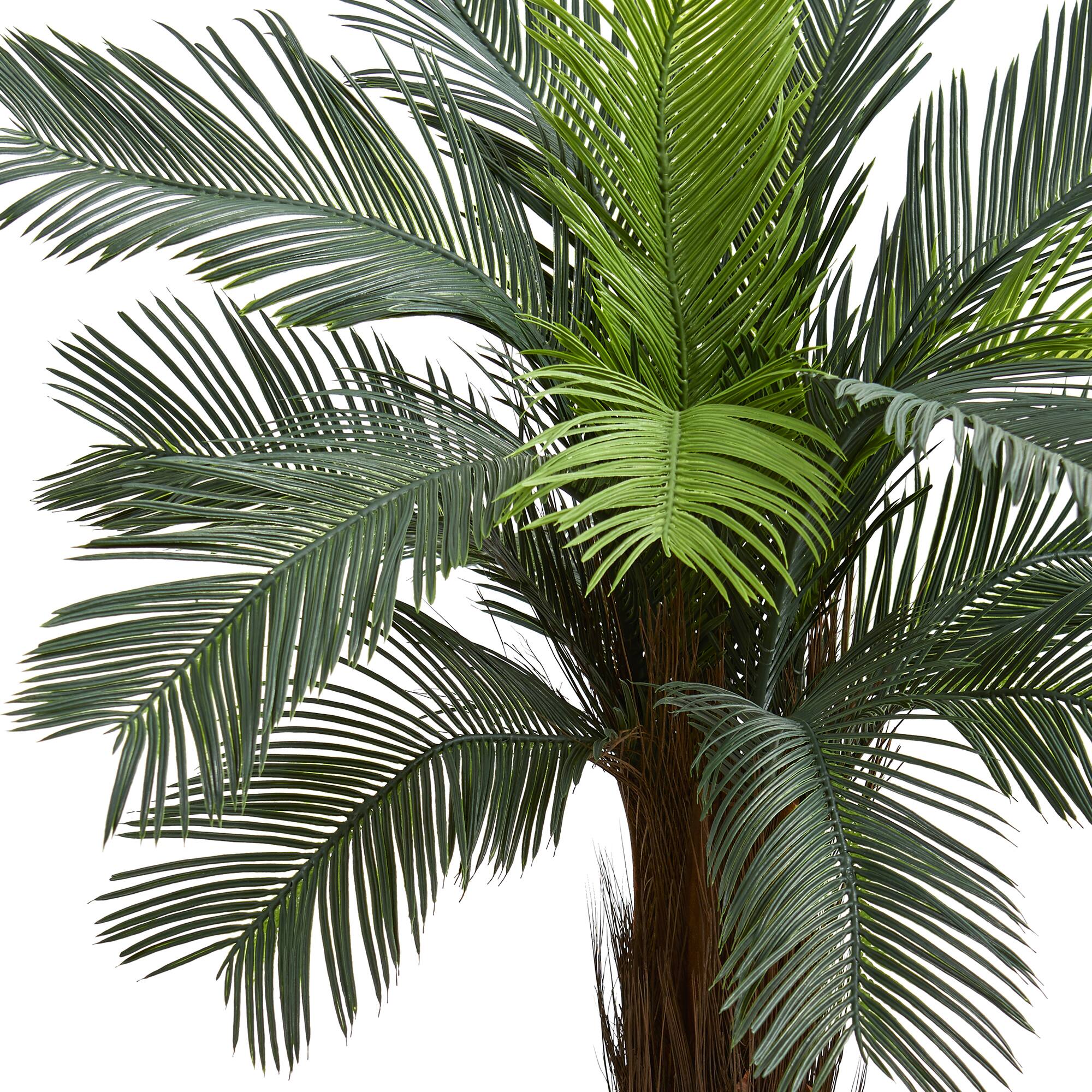 5ft. Potted UV Resistant Cycas Tree