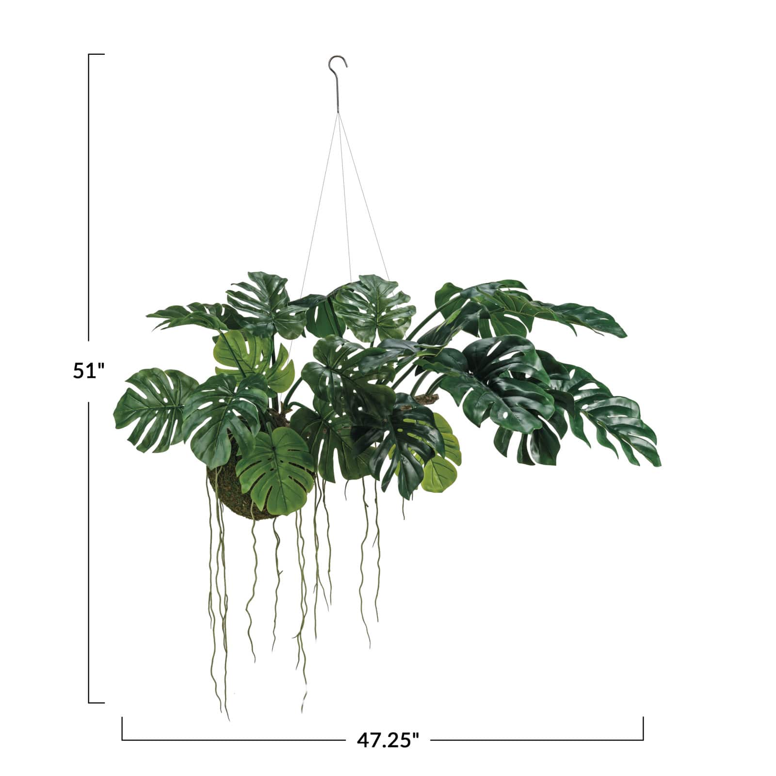 Hello Honey&#xAE; 51&#x22; Lush Green Hanging Monstera Kokedama